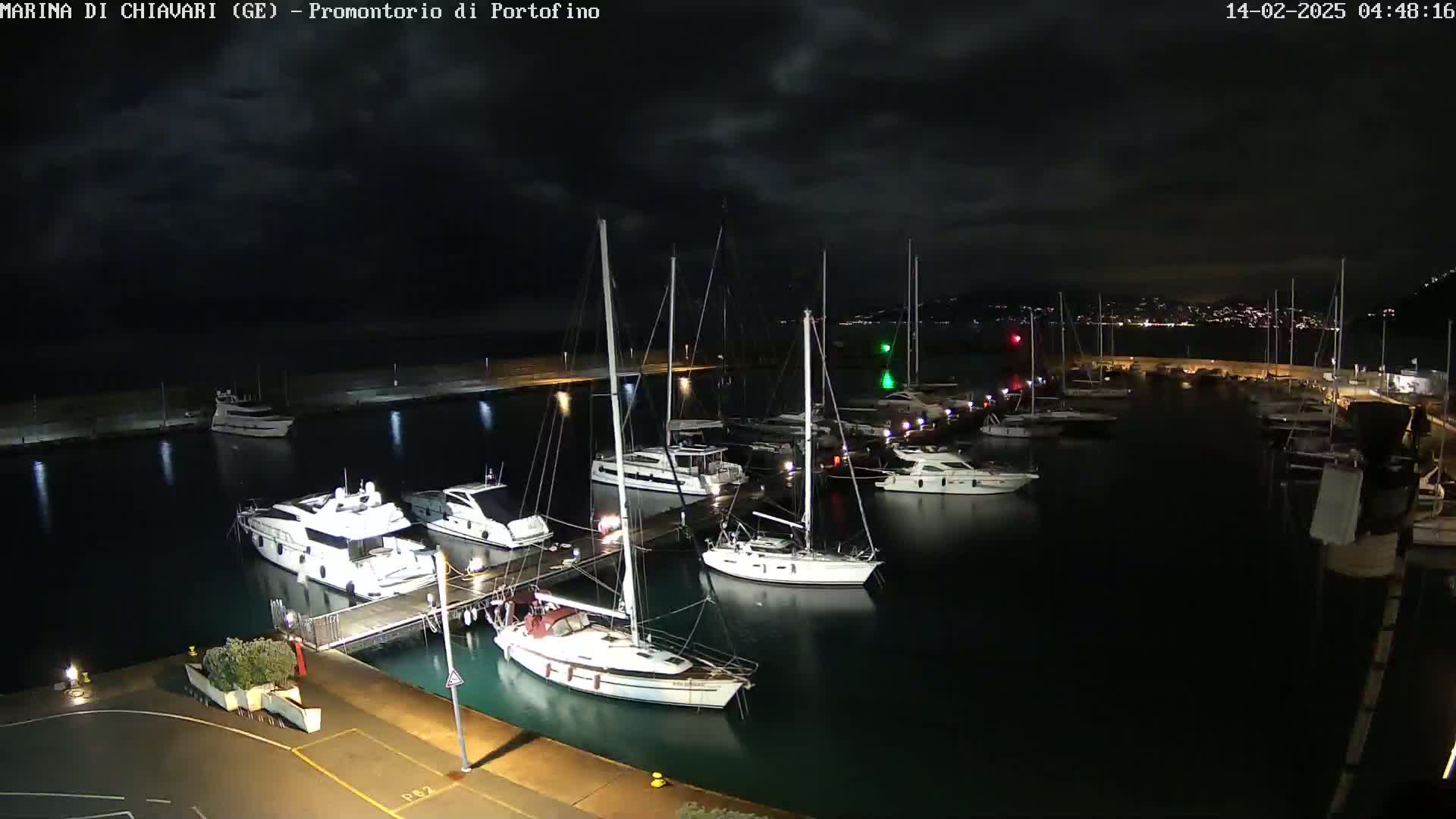 Numerous boats are moored in a marina at night under a partly cloudy sky.