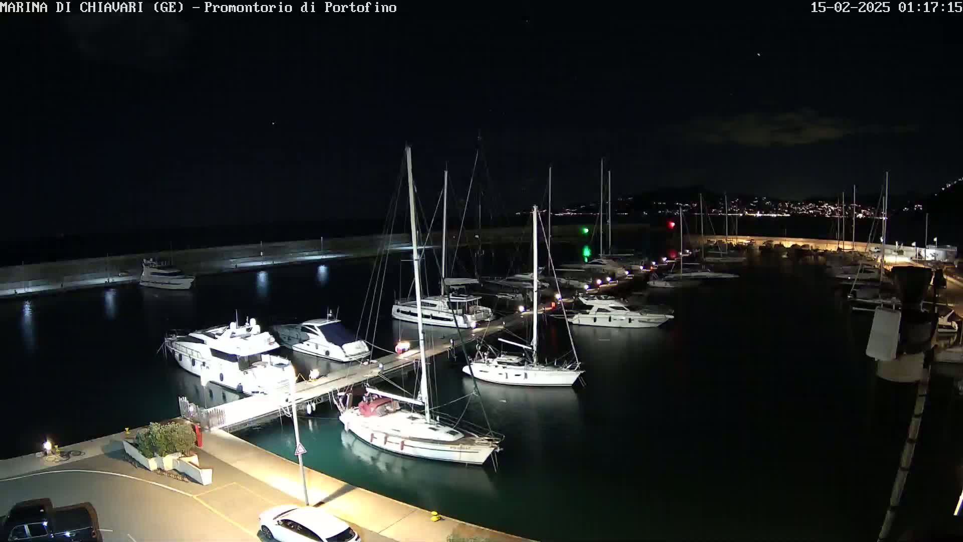 A marina at night, filled with sailboats and motor yachts docked along a pier under a clear, dark sky.