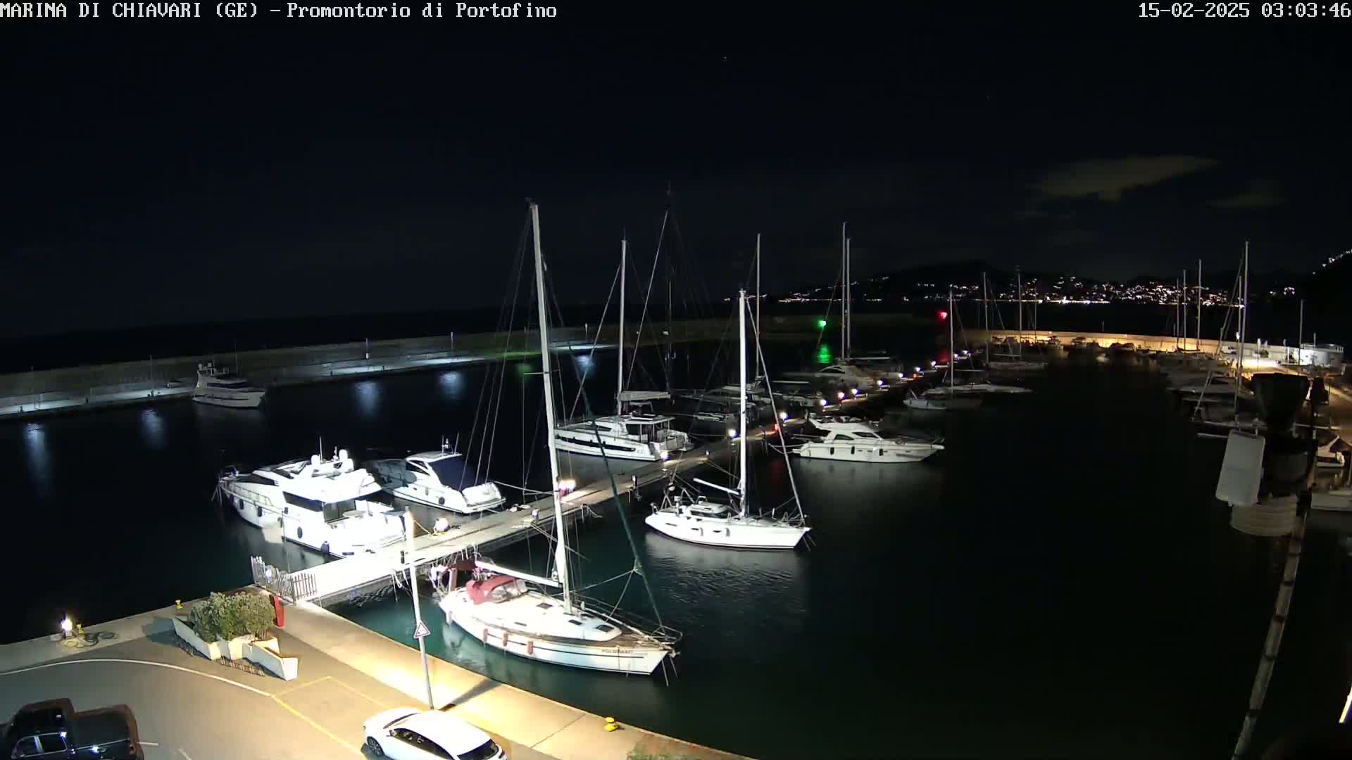 A marina at night filled with yachts and sailboats, illuminated by lights along a dock under a clear, dark sky.