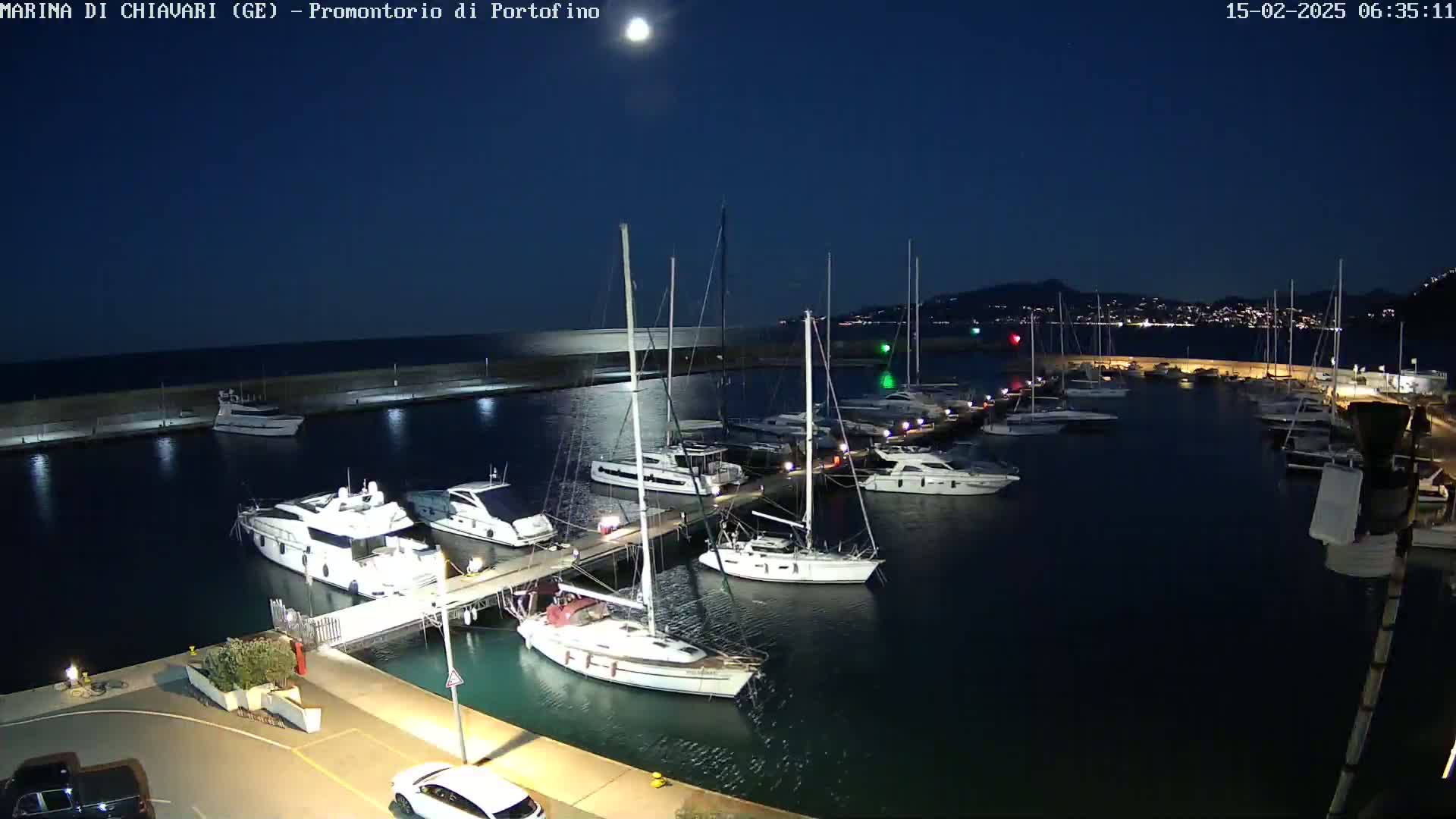 A marina at night under a clear, moonlit sky, filled with numerous yachts and sailboats docked along piers.