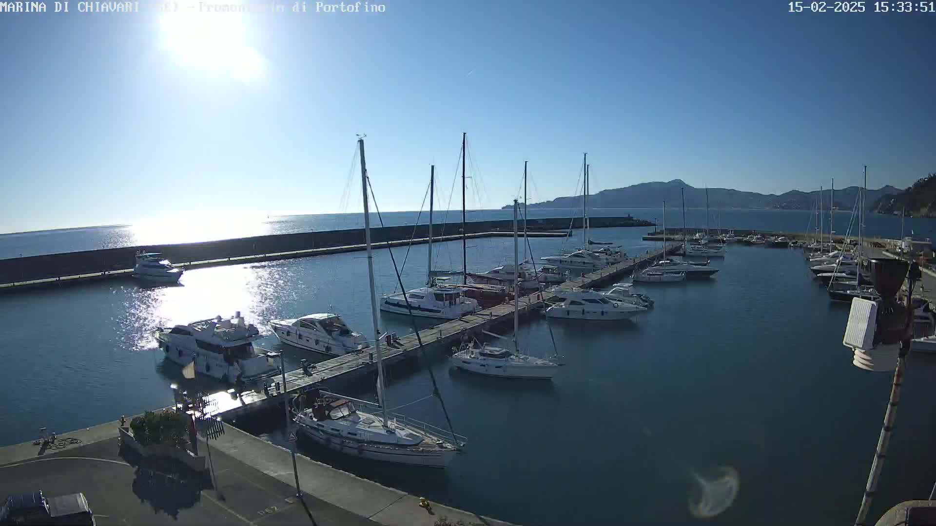 A marina filled with sailboats and motorboats on a sunny day with calm waters and mountains in the distance.