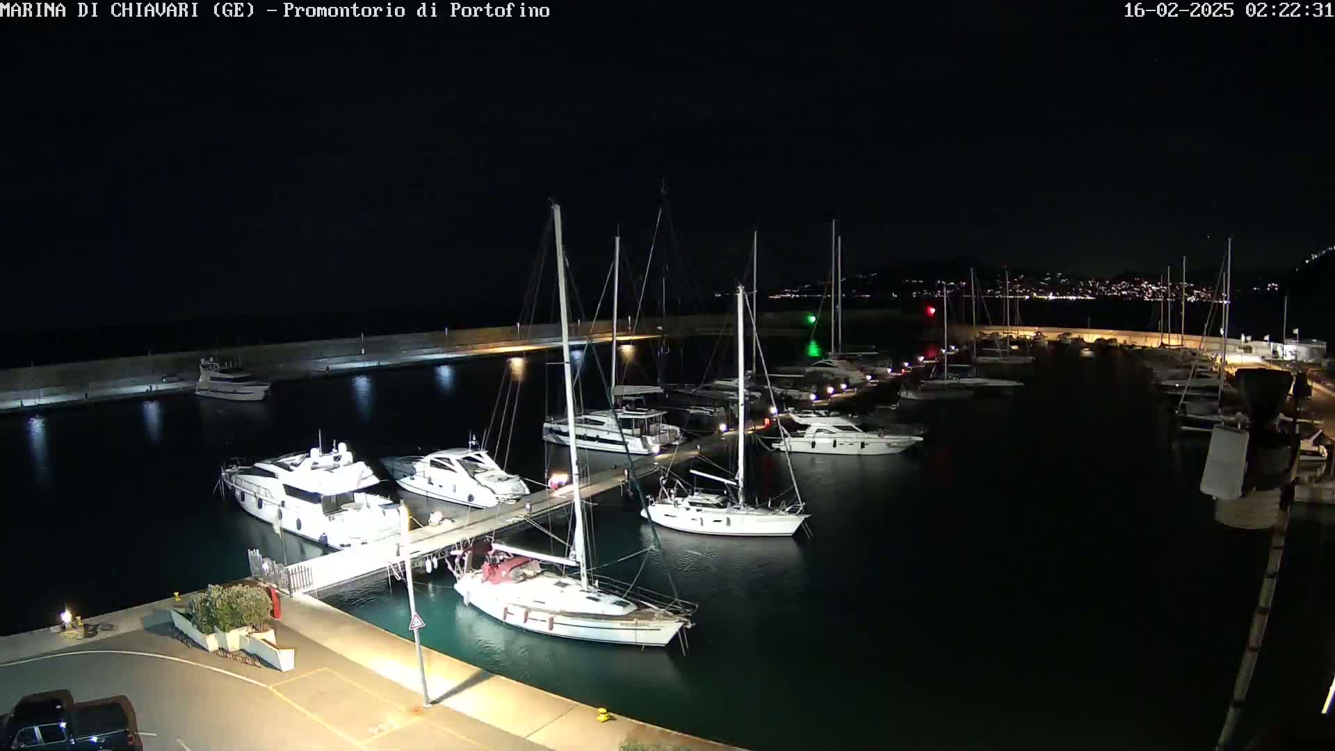 A marina filled with yachts and sailboats is illuminated at night under a clear, dark sky.