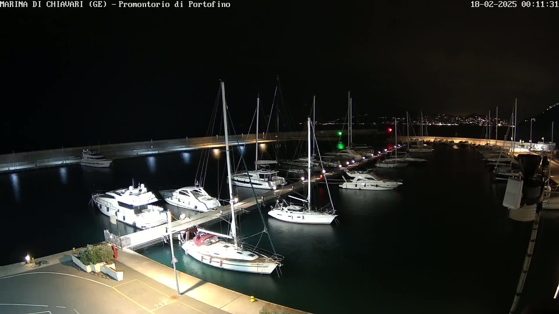 Many yachts and sailboats are docked at a marina at night under a clear, dark sky.