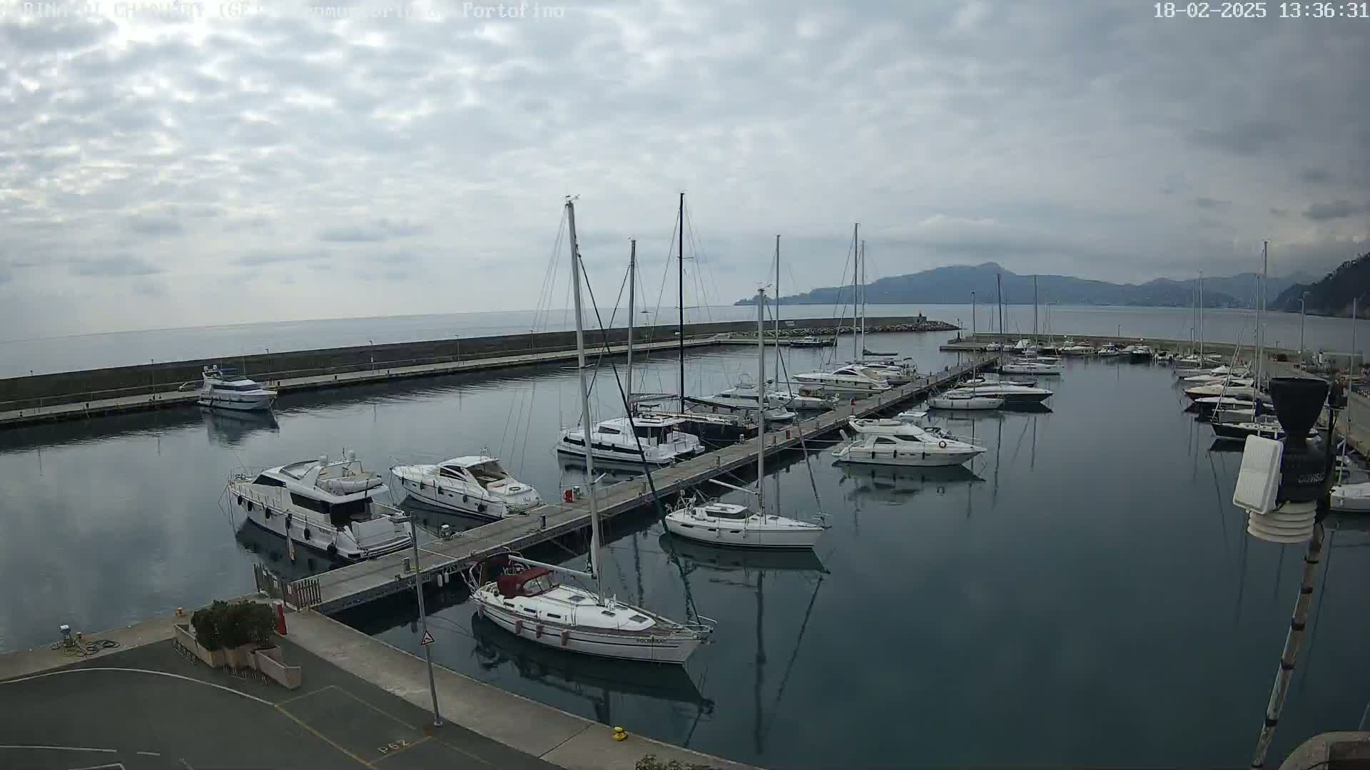 A marina filled with sailboats and motorboats is situated on calm water under a cloudy sky.