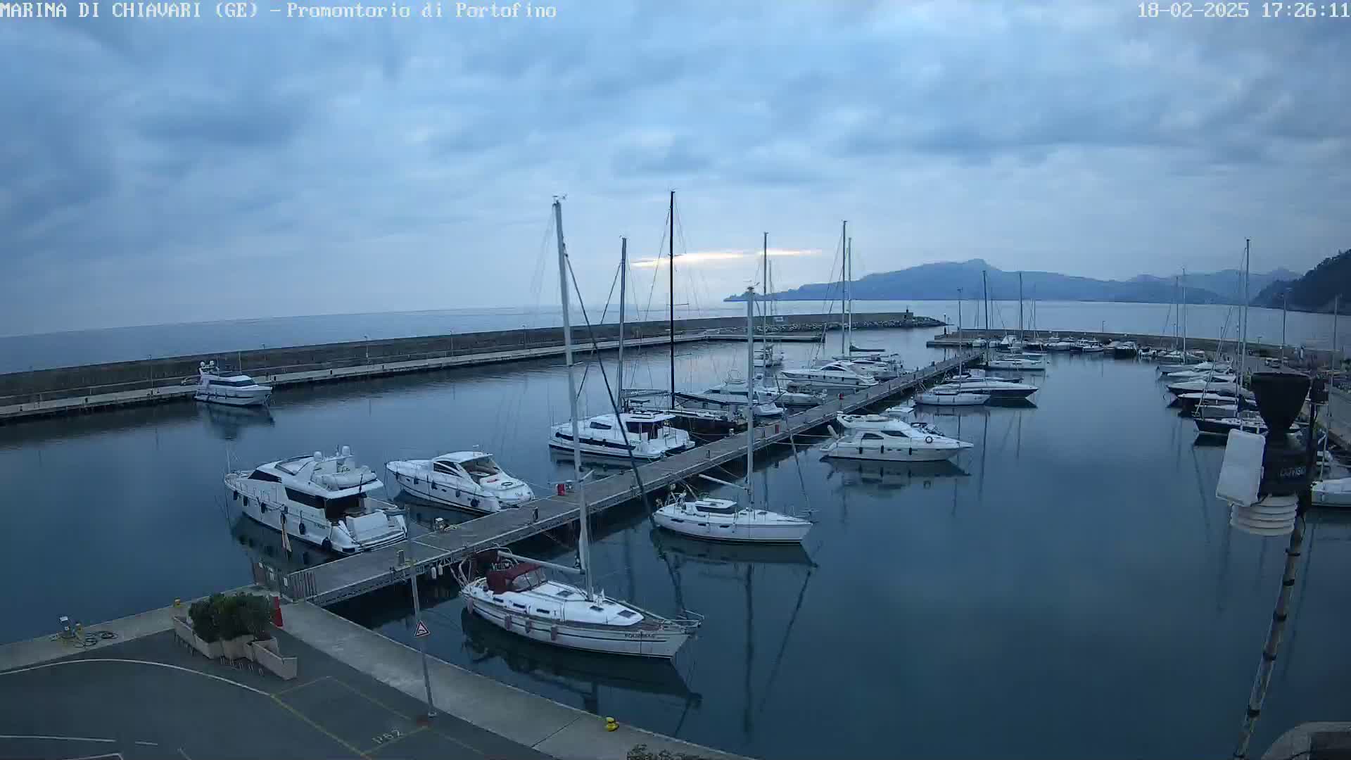 A marina filled with numerous sailboats and motorboats is situated on calm water under a cloudy sky.