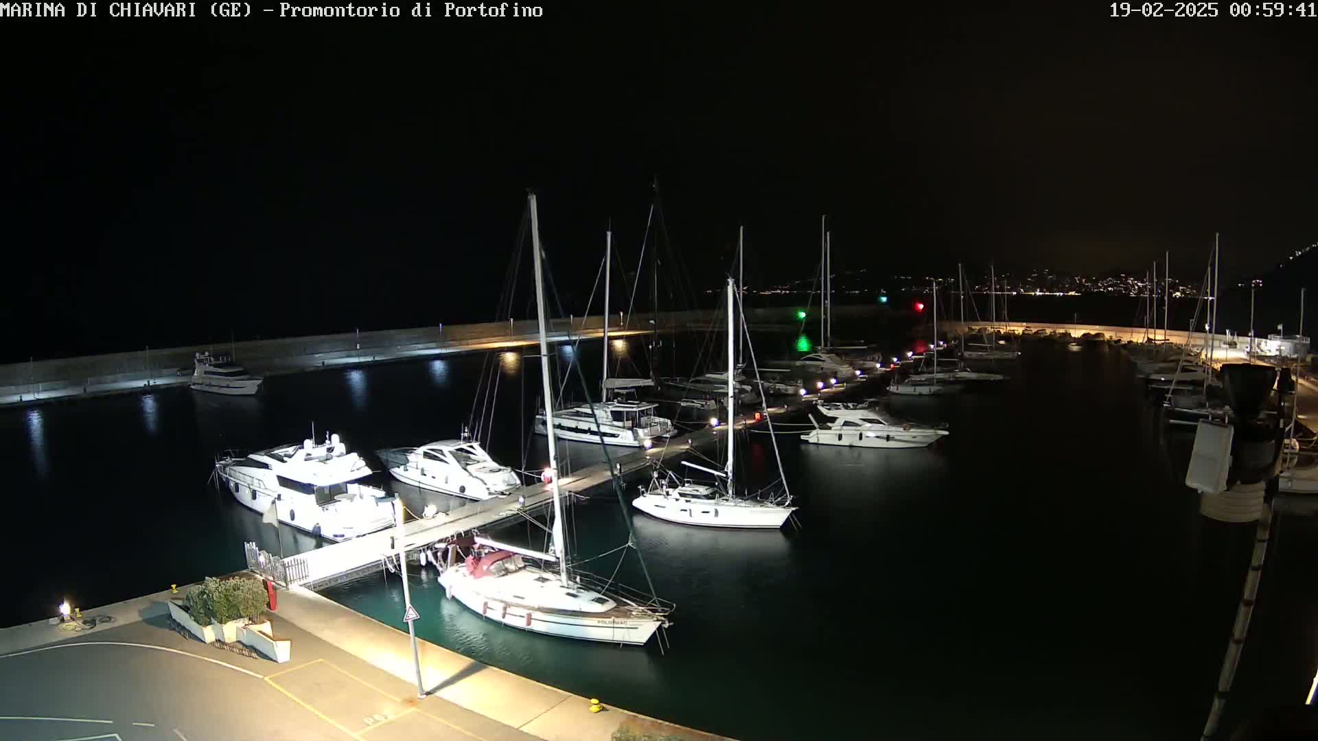 At night, numerous yachts and sailboats are docked at a marina, illuminated by lights along a pier.