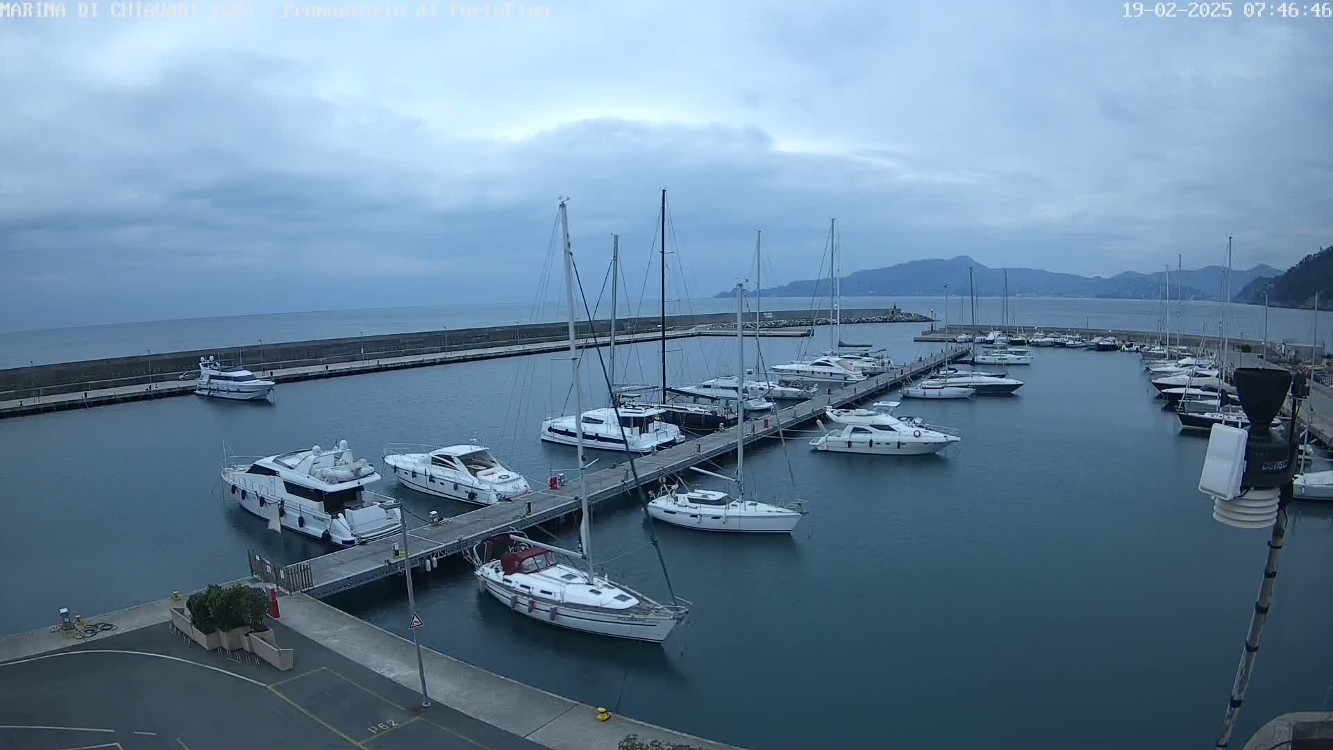 A marina filled with yachts and sailboats on a calm, overcast day, with mountains visible in the distance.