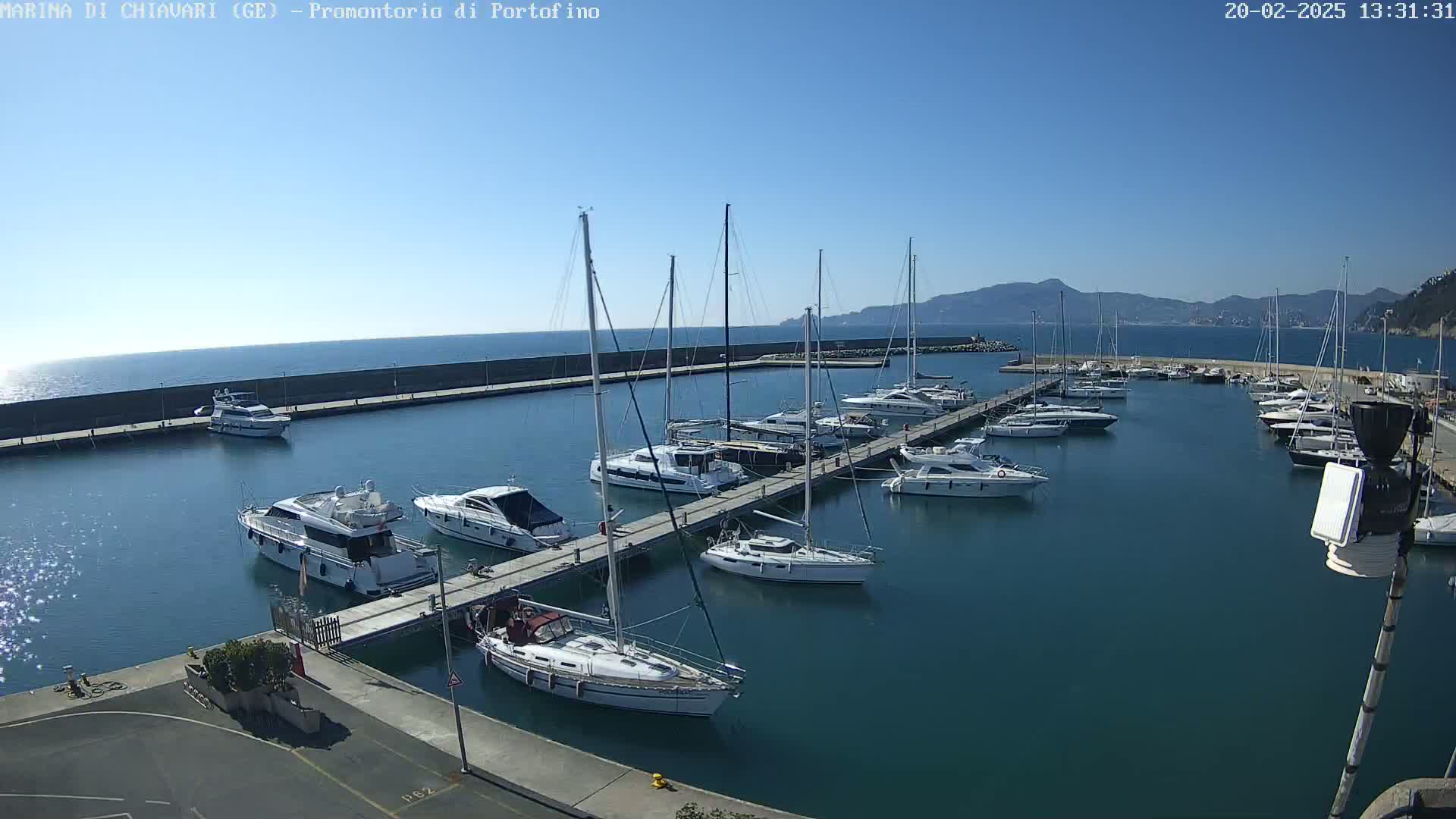 A marina filled with sailboats and motorboats on a sunny day, with calm water and mountains visible in the background.
