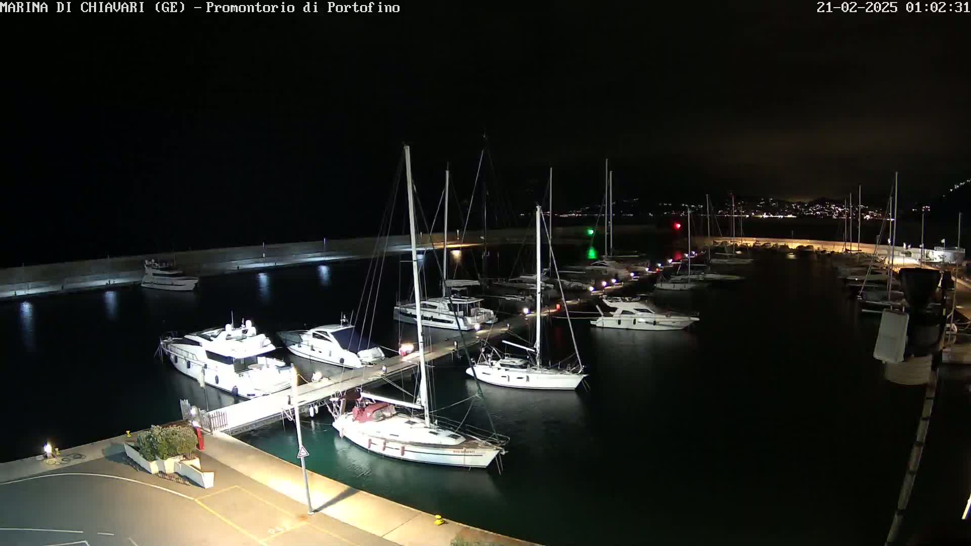 Many boats are docked at a marina at night under a dark sky.