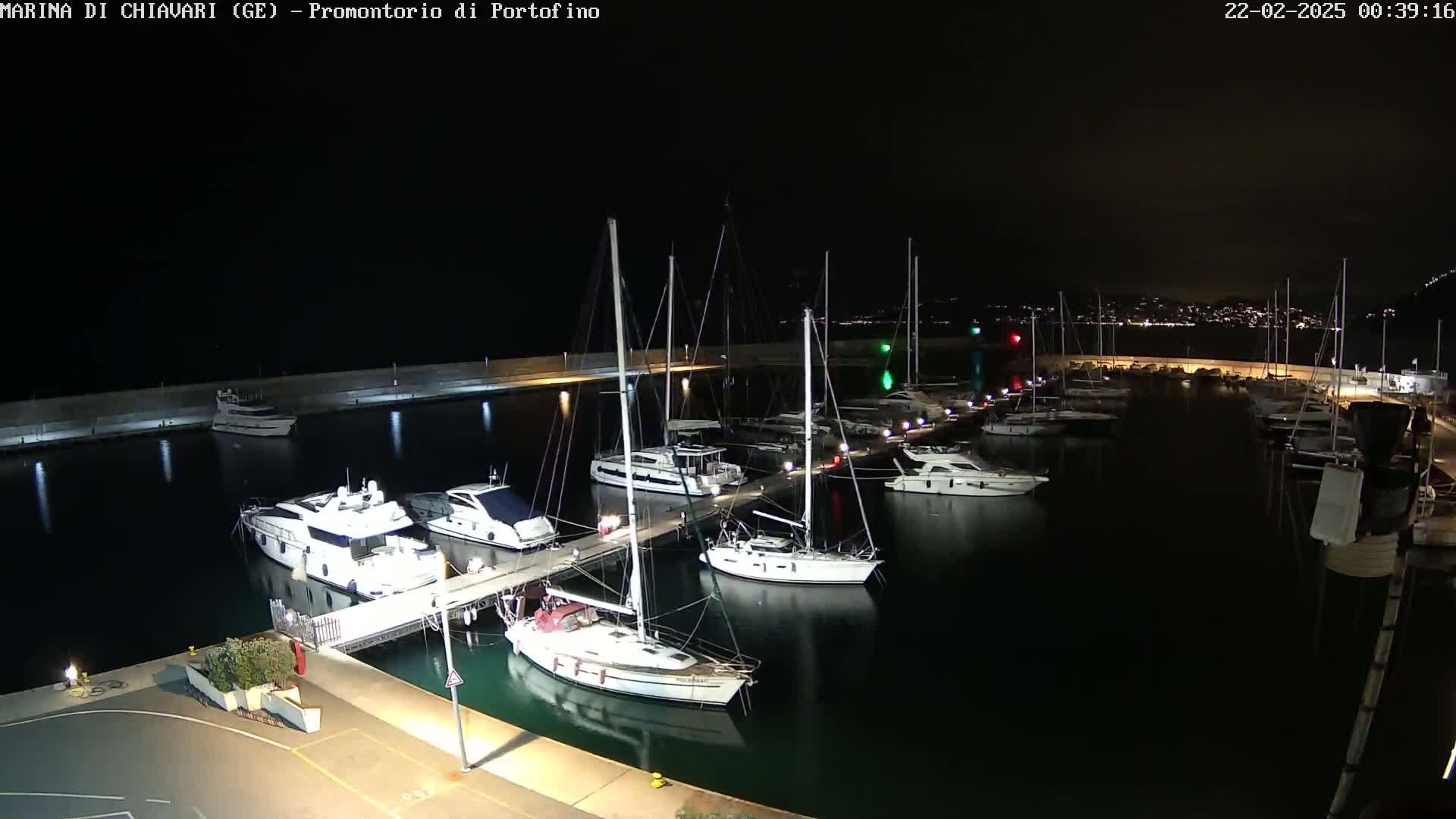 A marina at night, filled with yachts and sailboats docked along a pier under a clear, dark sky.