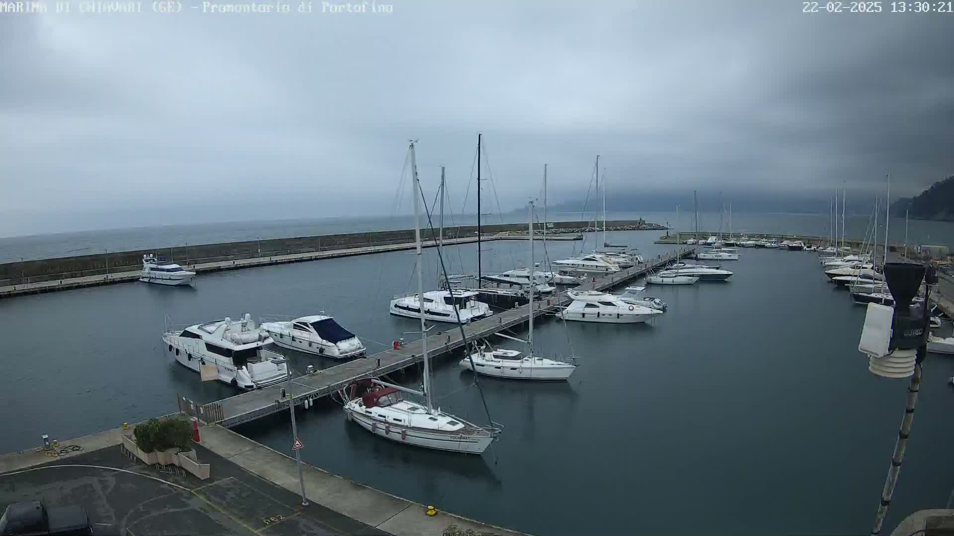 A marina filled with various sized yachts and sailboats is shown under an overcast sky.