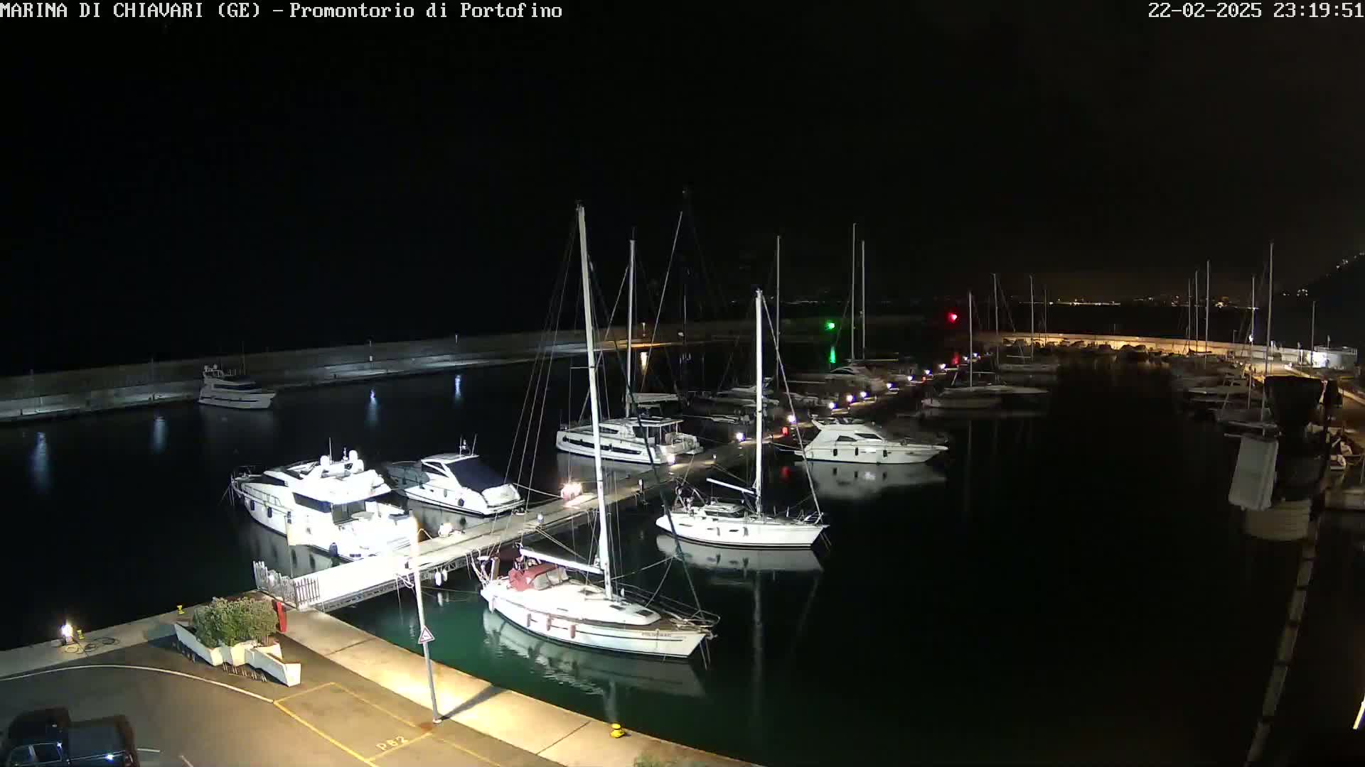 A marina at night, filled with numerous sailboats and motor yachts docked along piers under a dark sky.