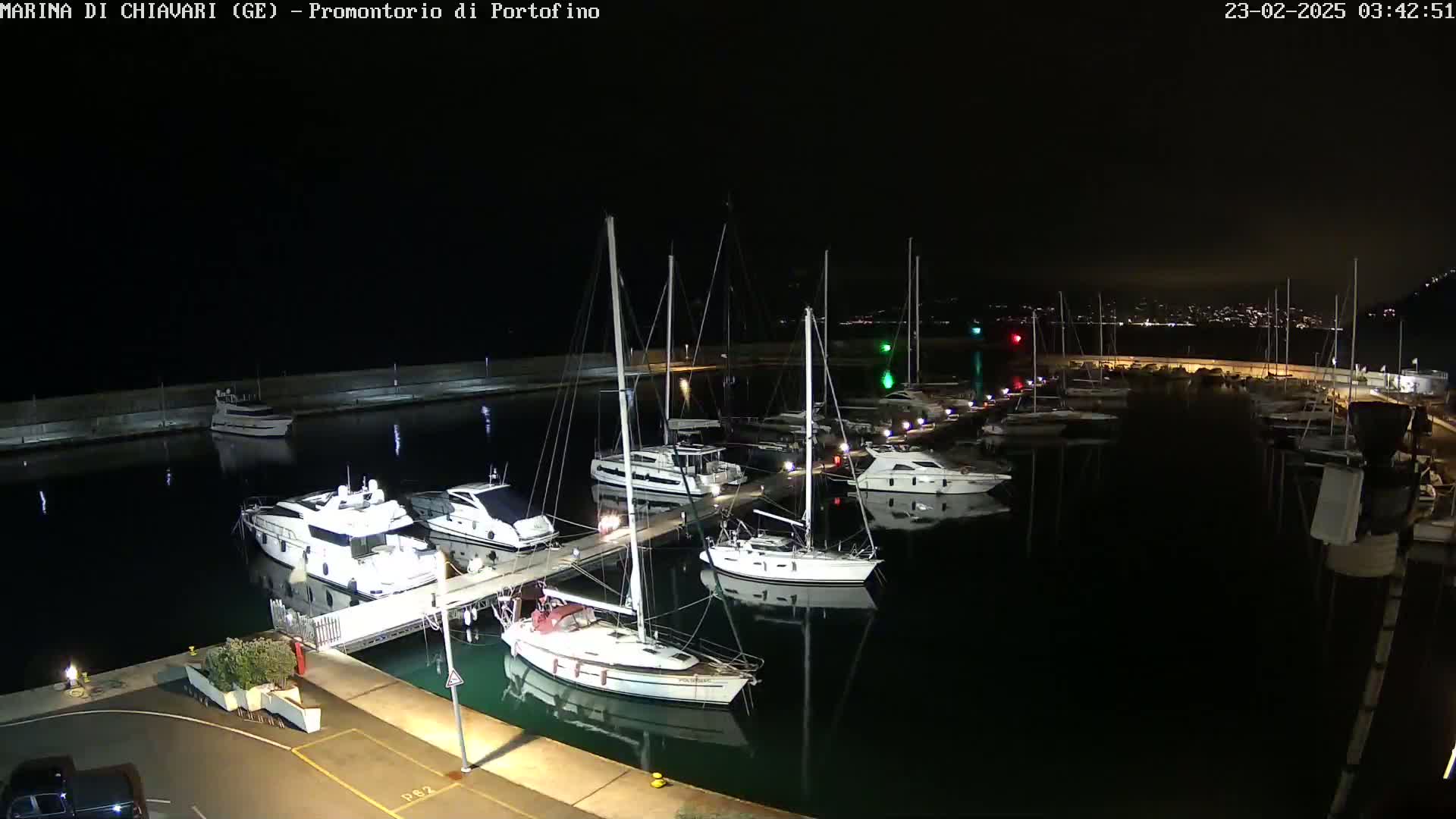 A marina filled with yachts and sailboats is seen at night under a clear, dark sky.