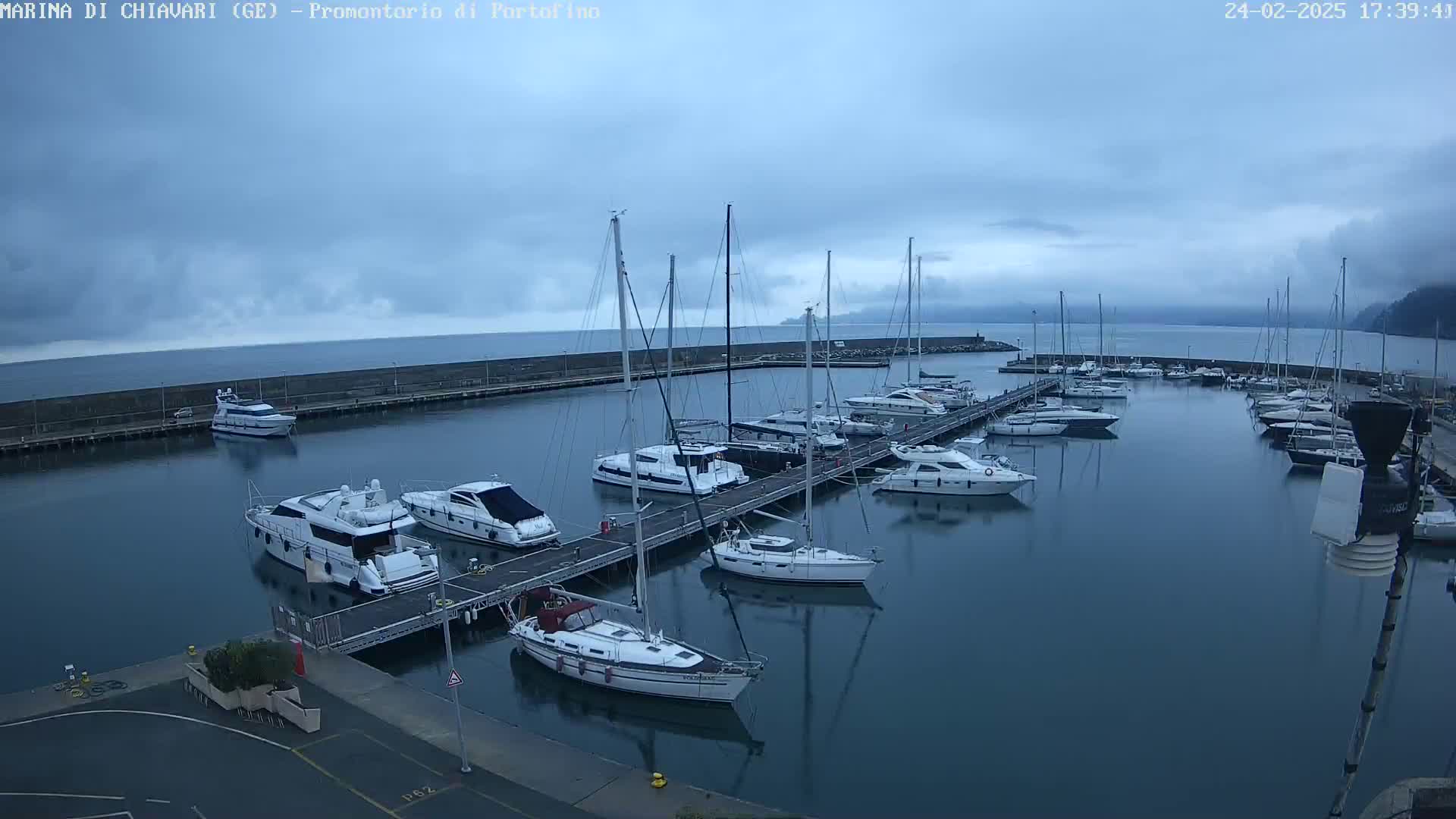 A marina filled with various sized yachts and sailboats under a cloudy sky.