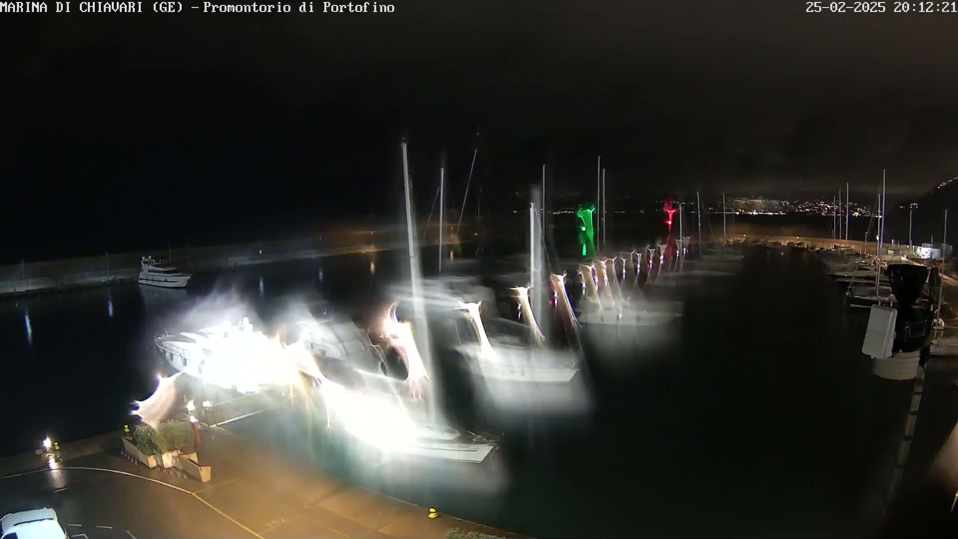 A nighttime marina shows numerous boats moored in the water, with motion blur suggesting windy conditions.