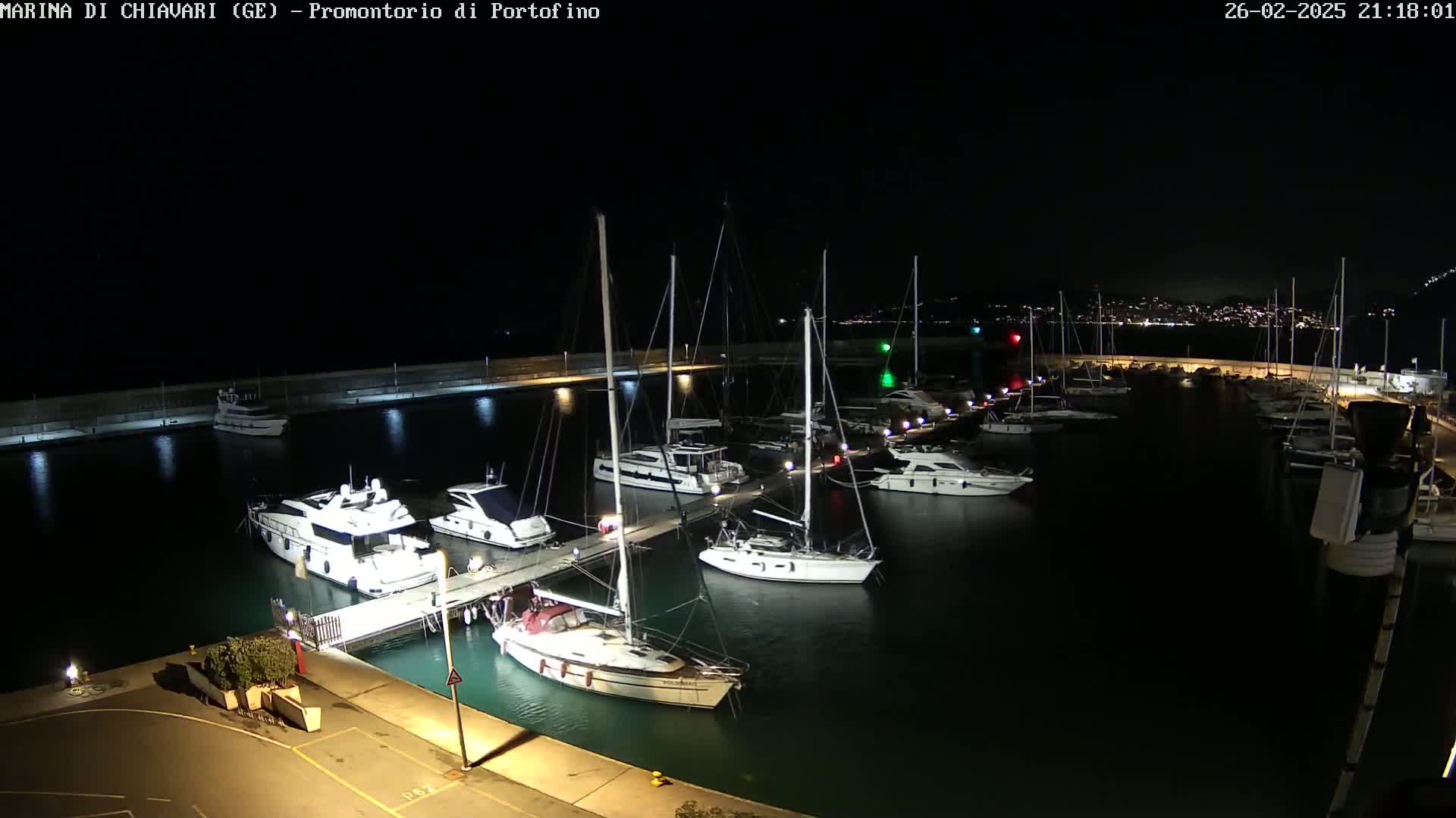 A marina filled with boats at night, illuminated by lights along the docks, with a city visible in the distance under a dark sky.
