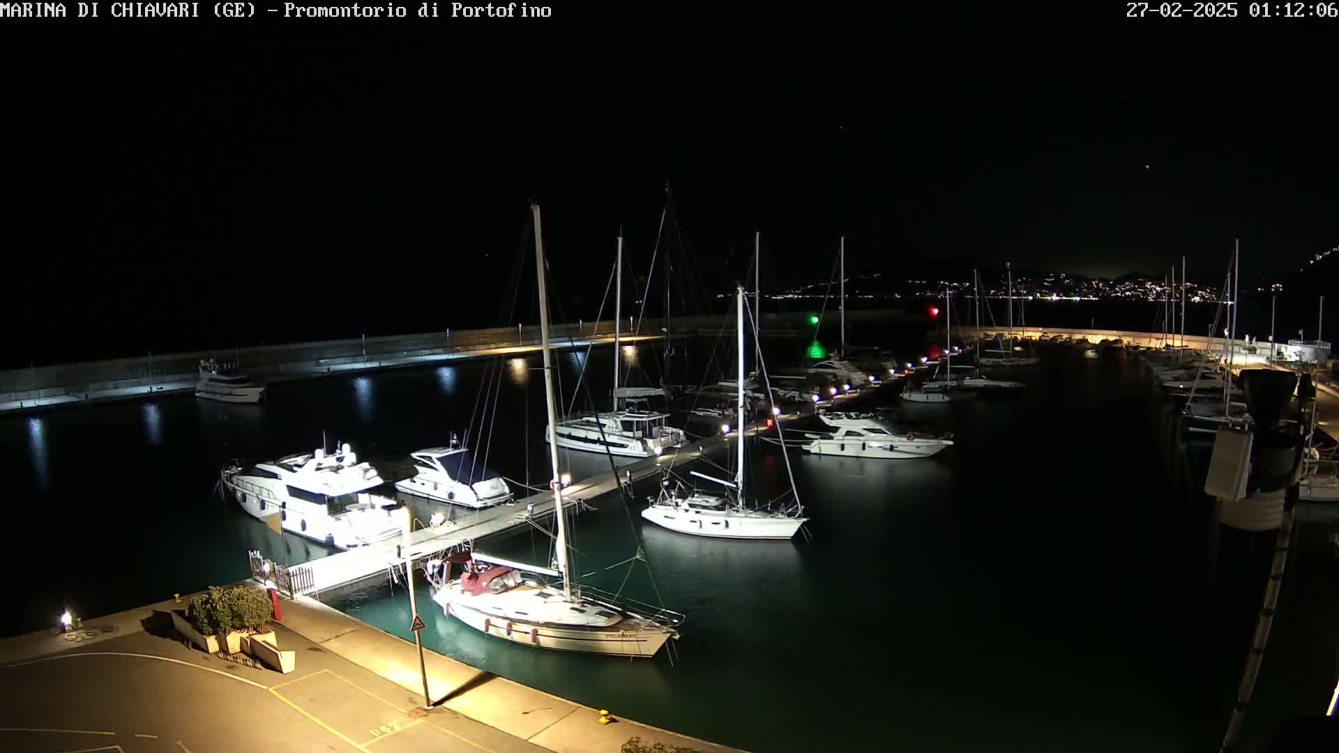 A marina at night, filled with sailboats and motorboats docked along piers, under a clear, dark sky.