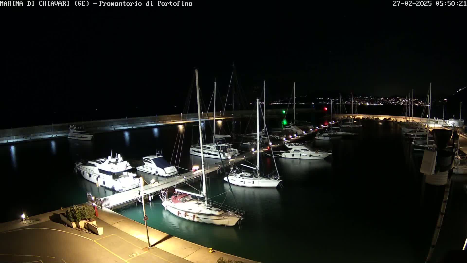 A marina at night, filled with numerous boats docked along a pier, under a clear, dark sky.