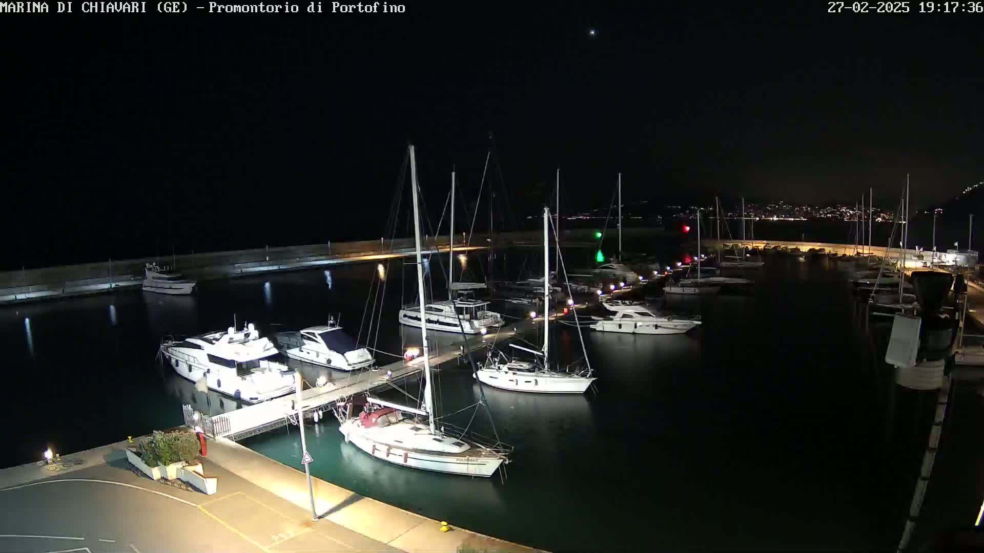 A marina at night, filled with various yachts and sailboats, under a clear, dark sky.