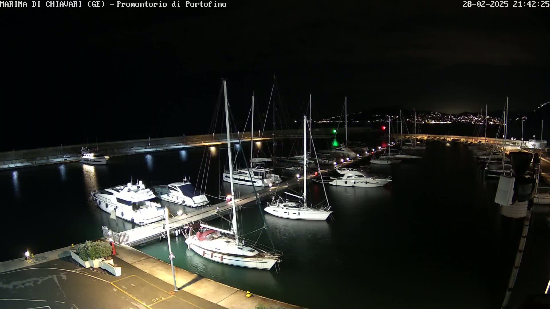 A marina filled with yachts and sailboats is shown at night, under a clear, dark sky.
