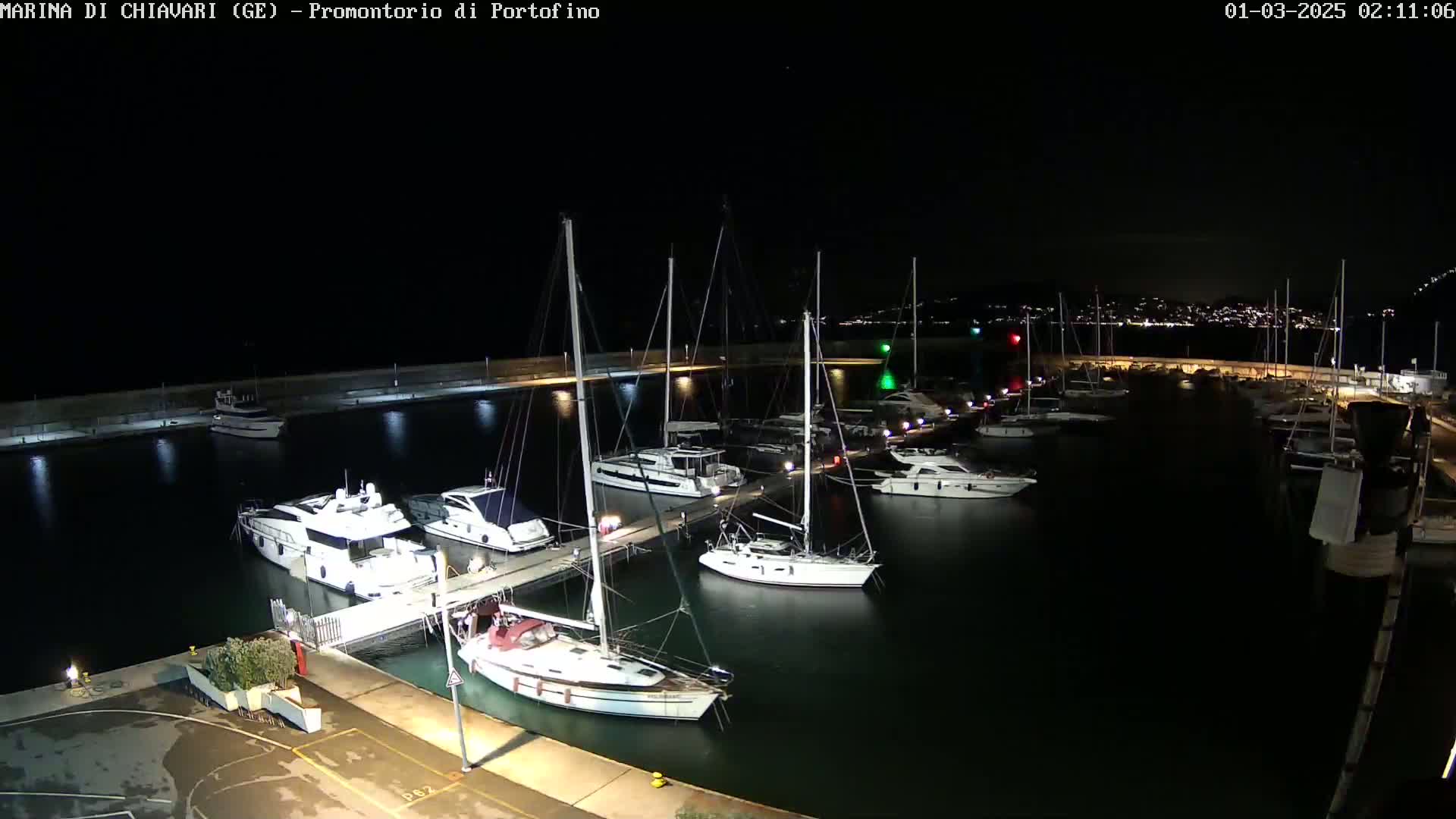 A nighttime view of a marina filled with sailboats and motor yachts, docked alongside a lit seawall under a clear, dark sky.
