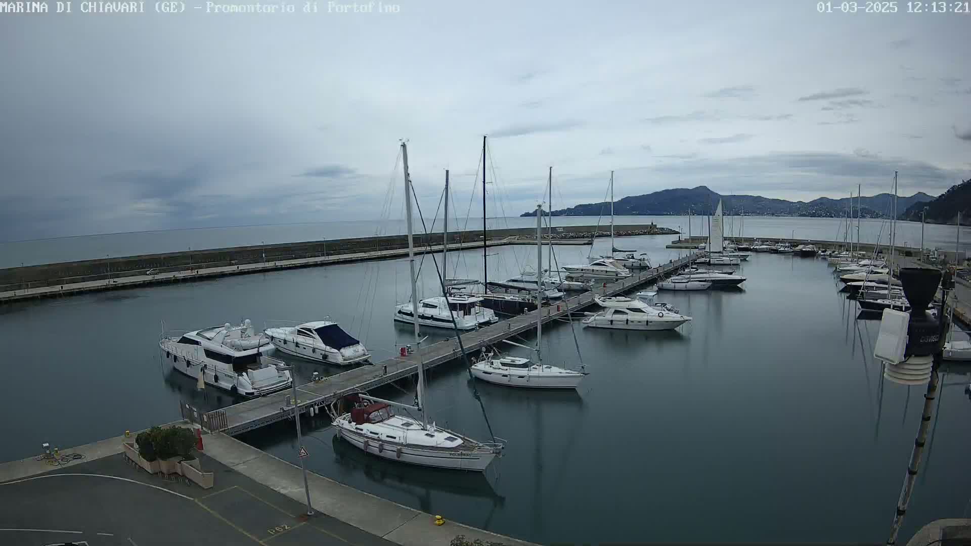 A marina filled with sailboats and motorboats on a cloudy day, with mountains visible in the distance.