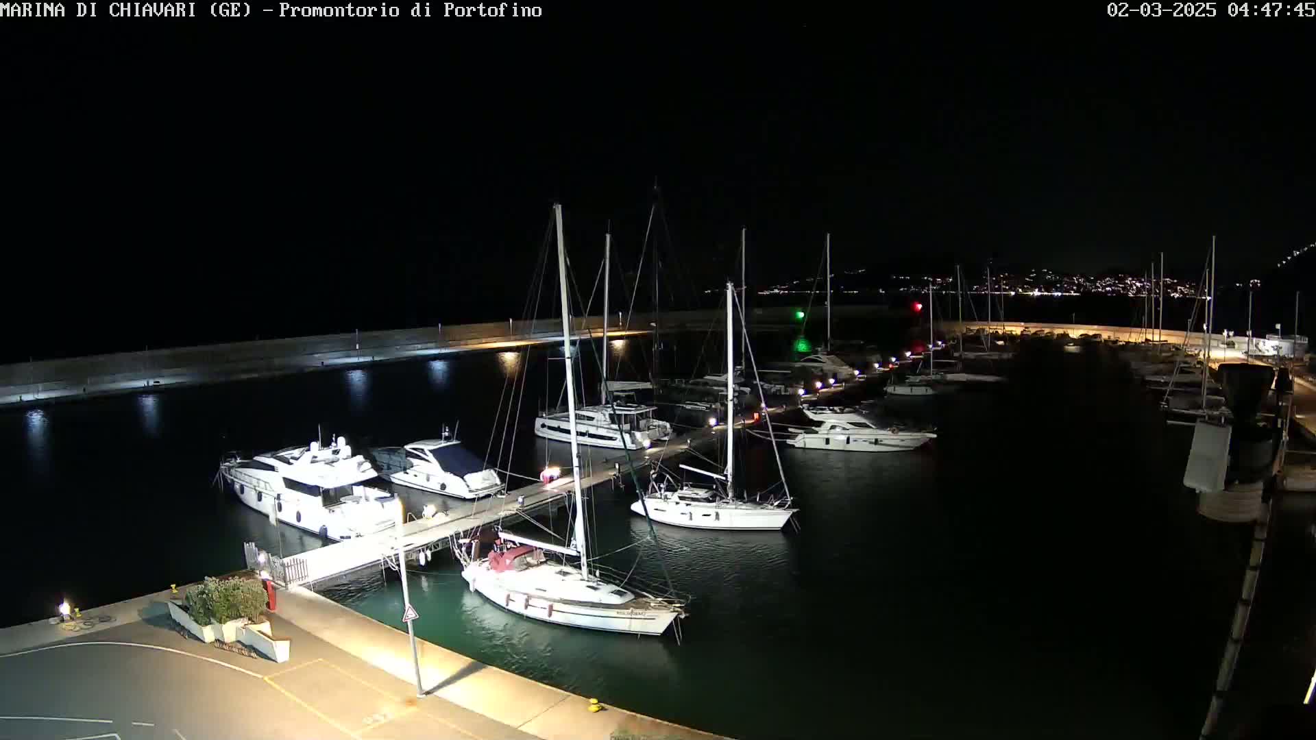 At night, numerous boats are docked at a marina, illuminated by artificial lights.