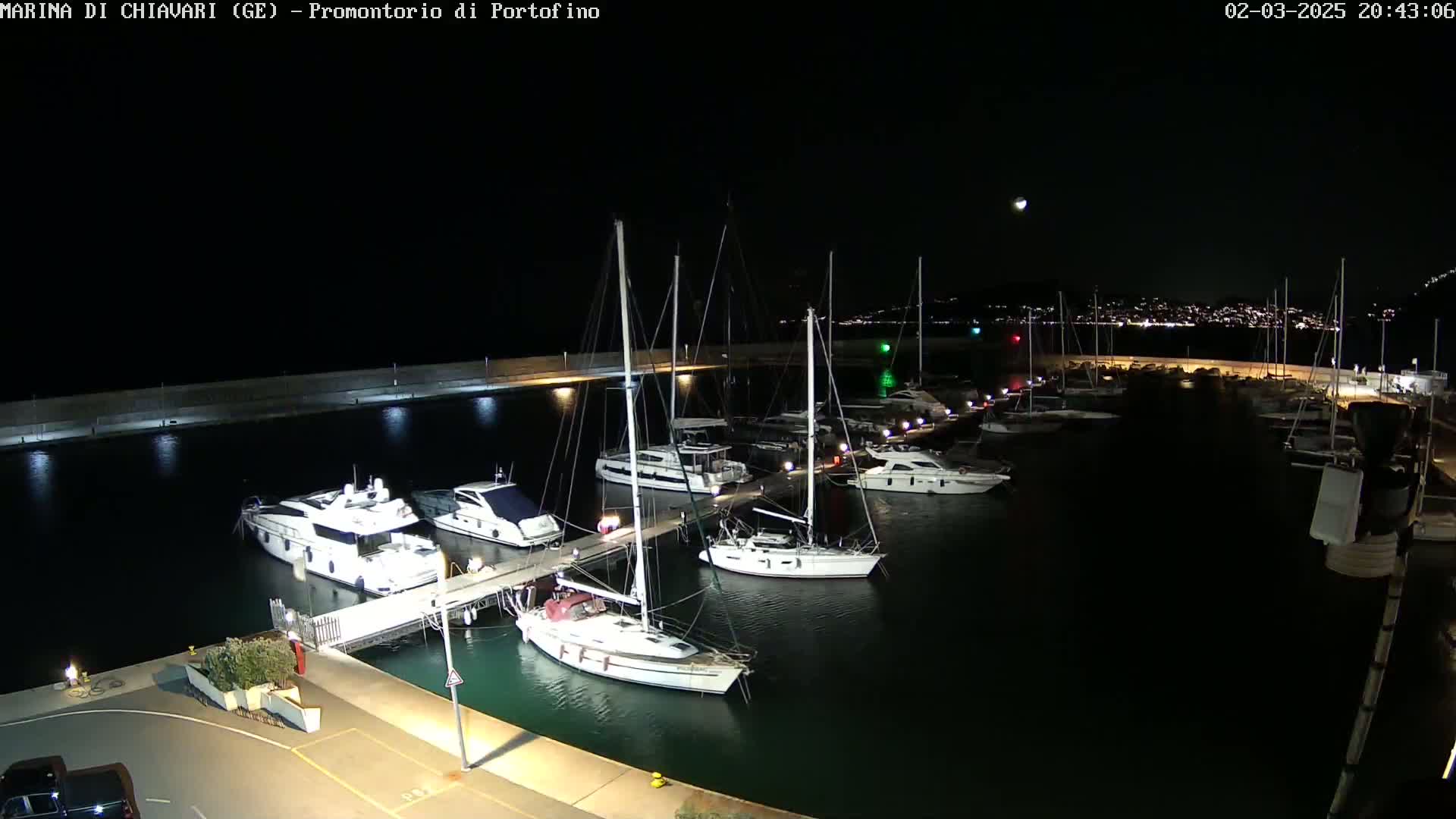 A marina at night, filled with sailboats and motorboats docked along piers, under a clear, dark sky.