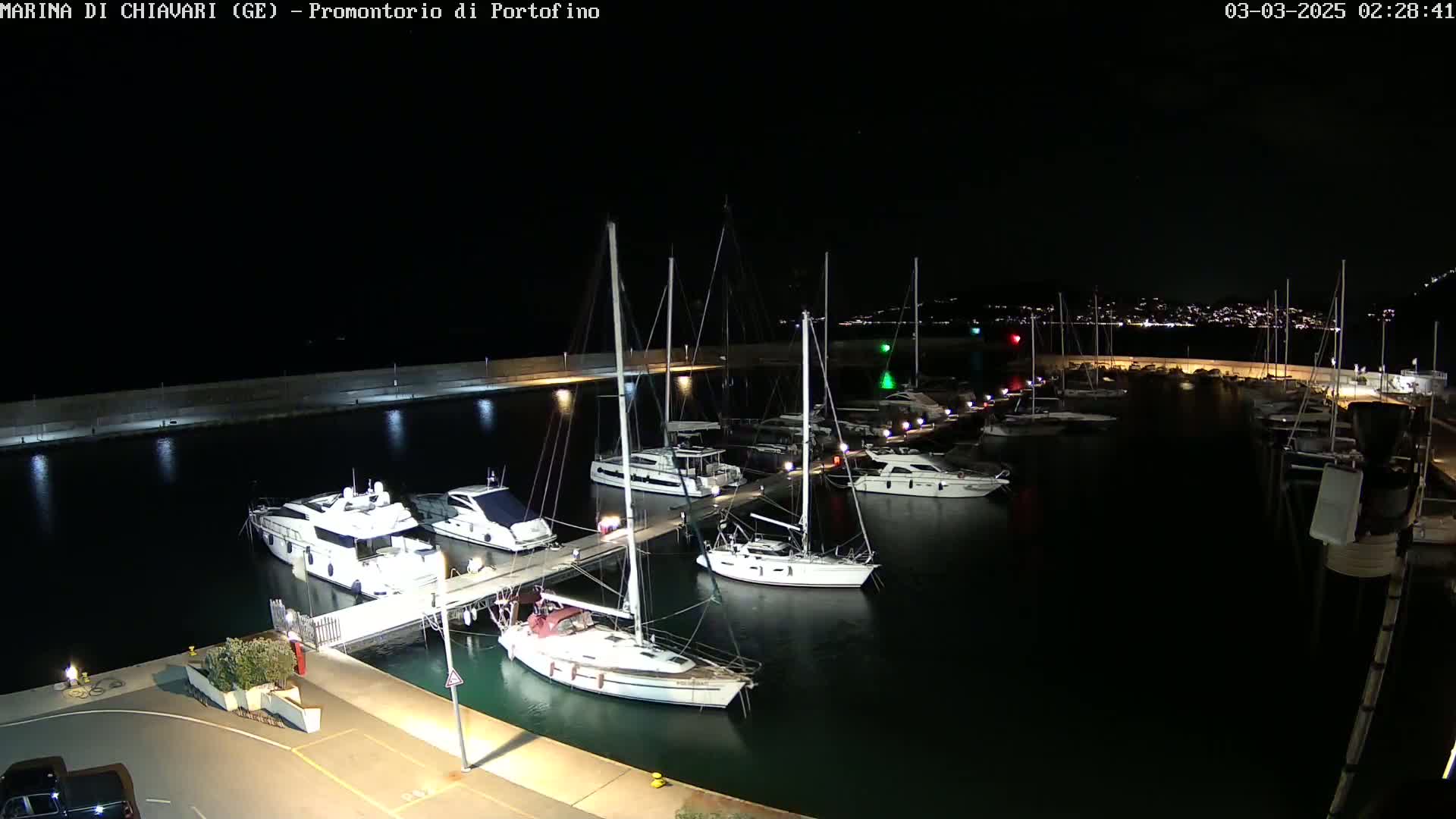 At night, numerous sailboats and motorboats are docked at a marina, with a city's lights visible in the distance.