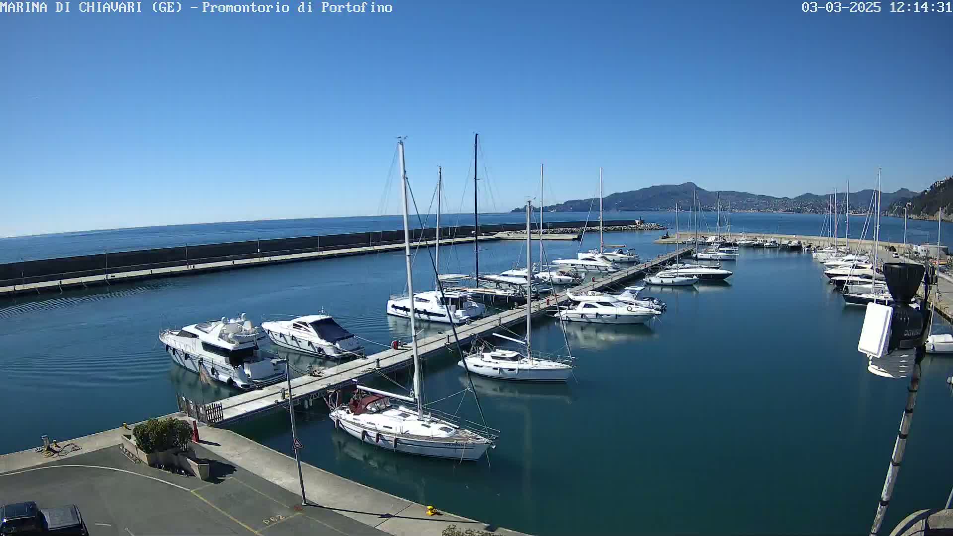 A marina filled with sailboats and motorboats on a sunny day, with calm water and mountains visible in the distance.