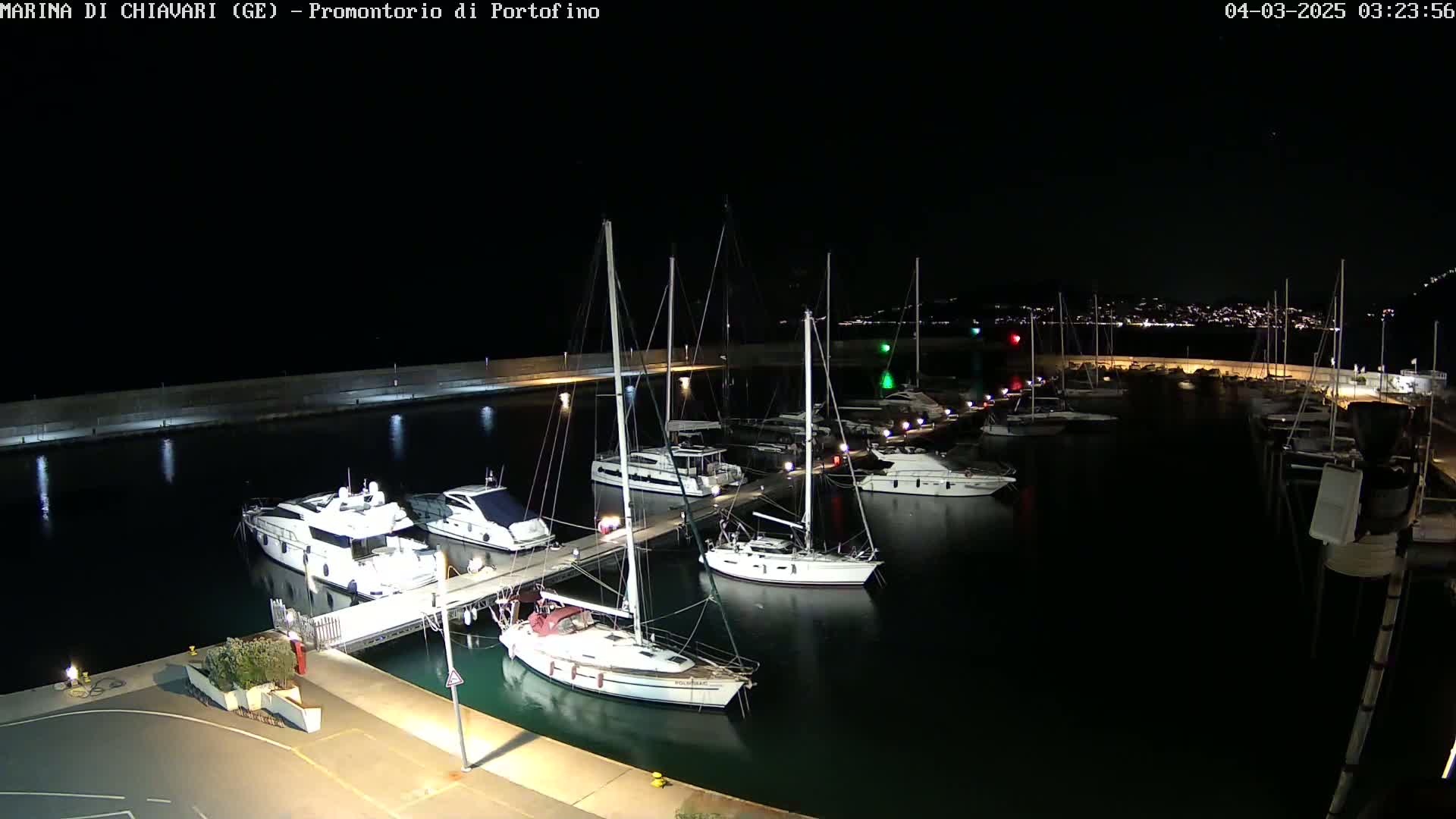 A marina at night, filled with yachts and sailboats, is calmly moored under a clear, dark sky.