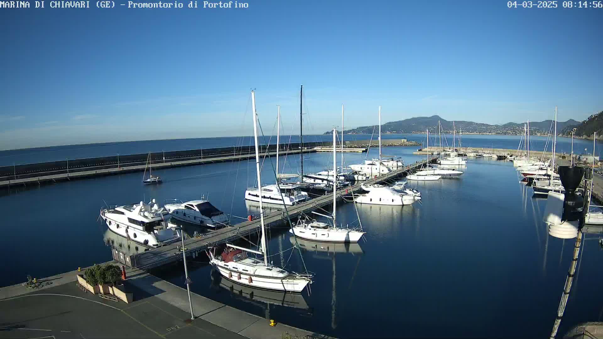 A marina filled with sailboats and motorboats on a sunny day with clear blue skies and calm water.