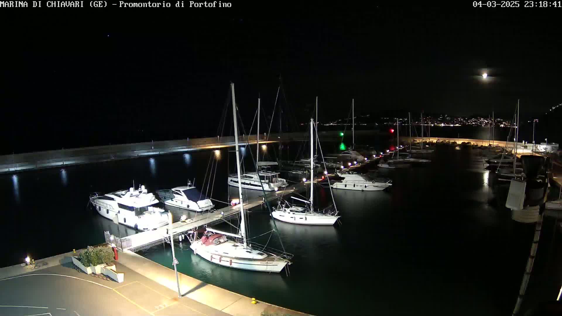 A marina at night, under a bright moon, is filled with yachts and sailboats docked along a lit pier.
