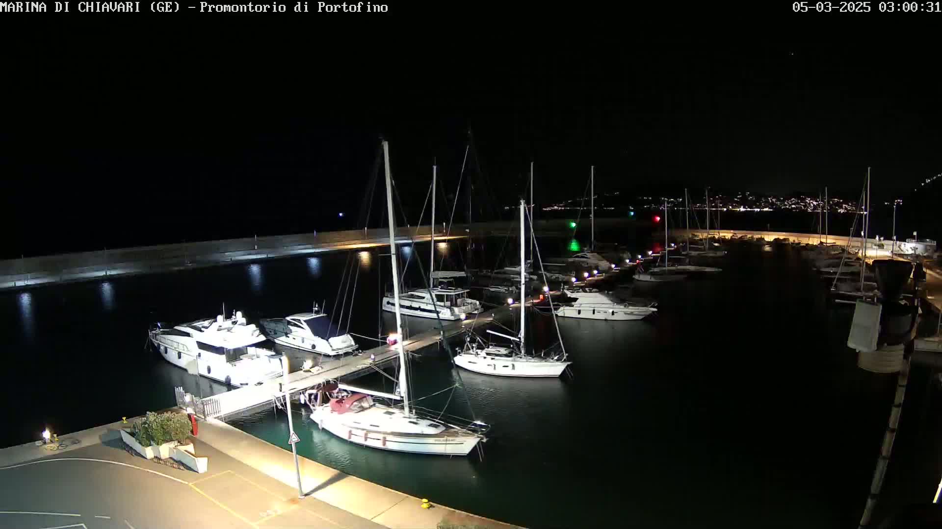 A marina filled with sailboats and motorboats is shown at night under a clear, dark sky.