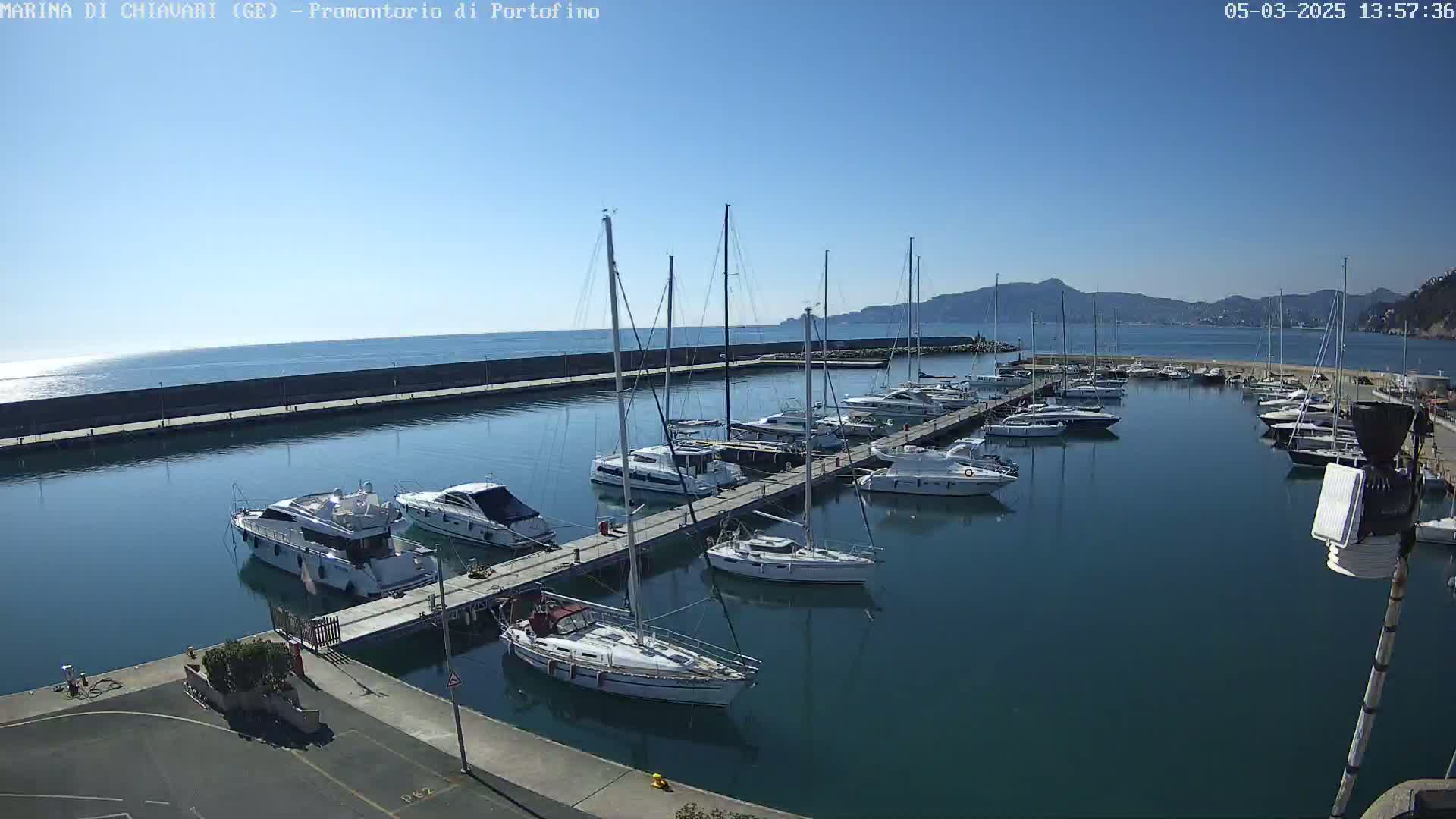 A marina filled with sailboats and motorboats on a sunny day, with calm water and mountains in the distance.