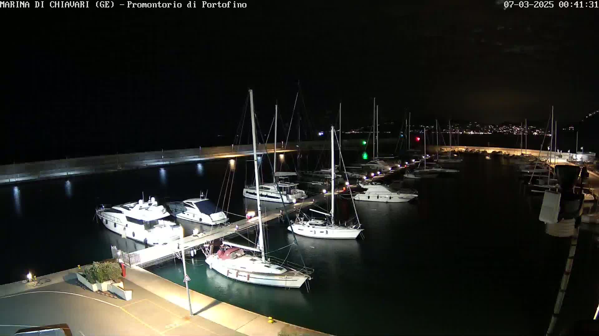 Numerous yachts and sailboats are docked at a marina at night under a dark sky.
