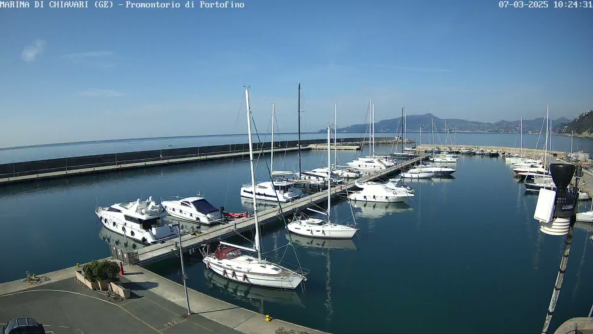A marina filled with sailboats and motorboats on a sunny day, with calm water and distant hills visible in the background.