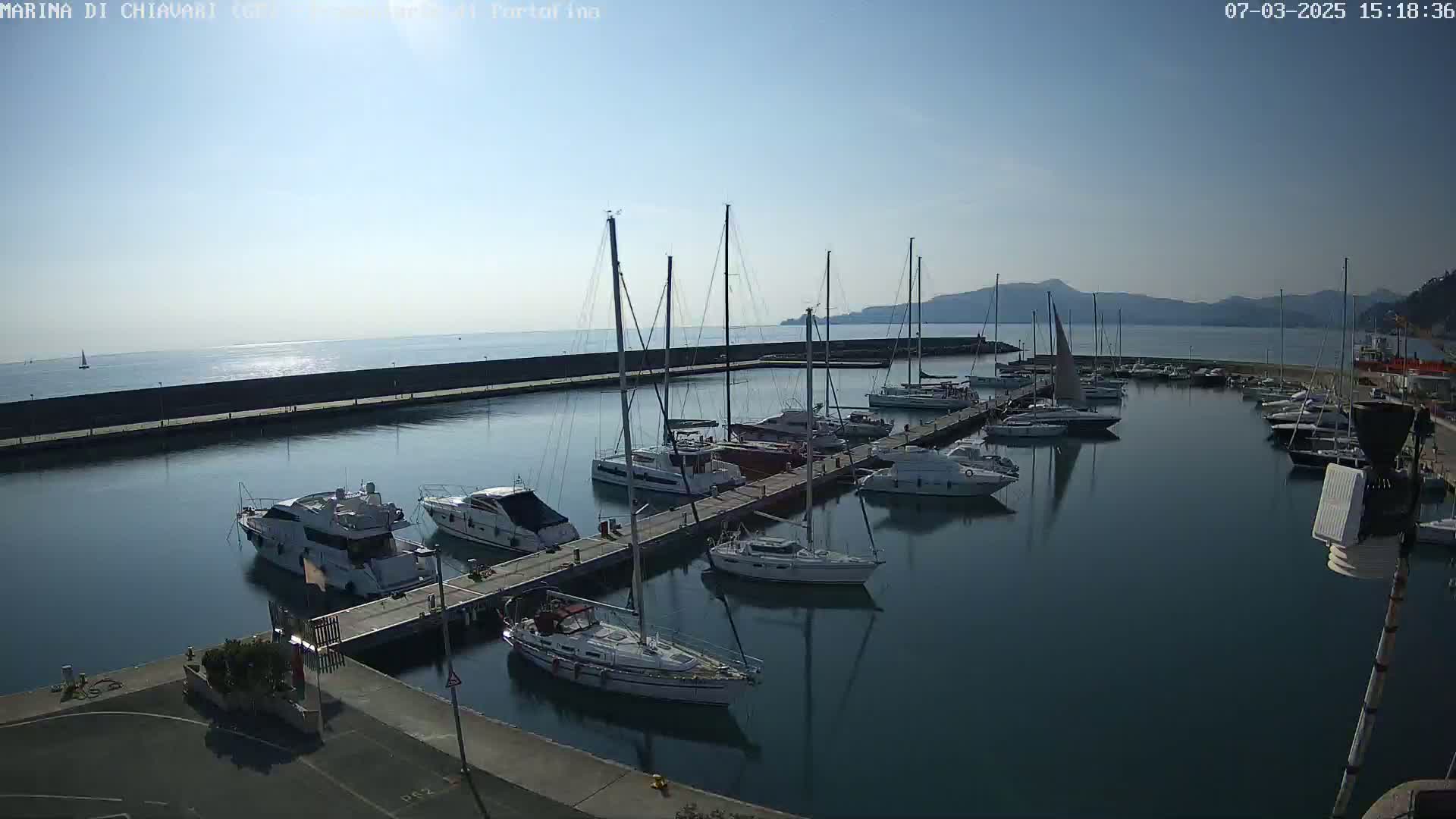 A marina filled with sailboats and motor yachts on a calm, sunny day.