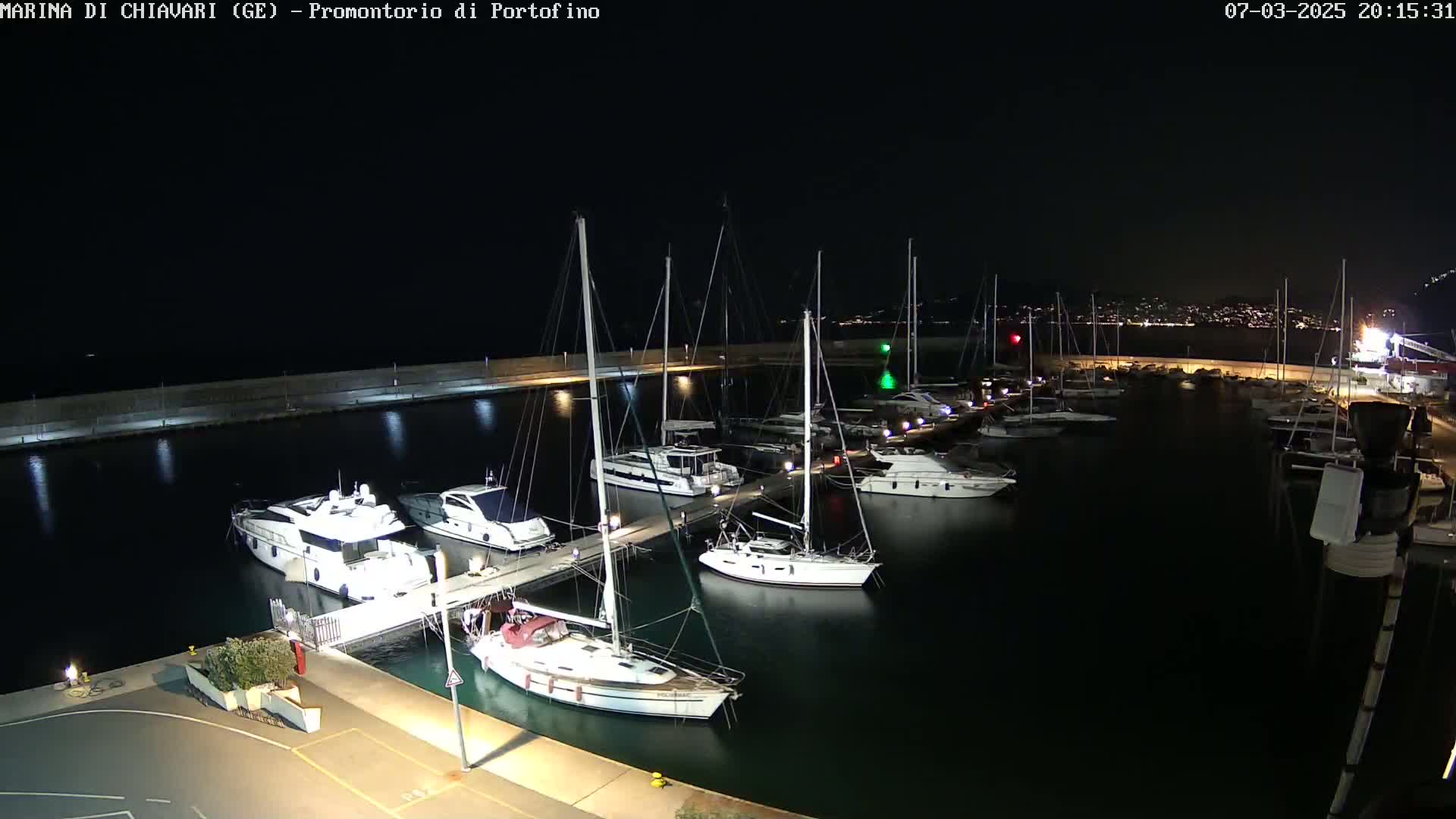 A marina at night, filled with numerous yachts and sailboats docked along a pier, under a clear, dark sky.