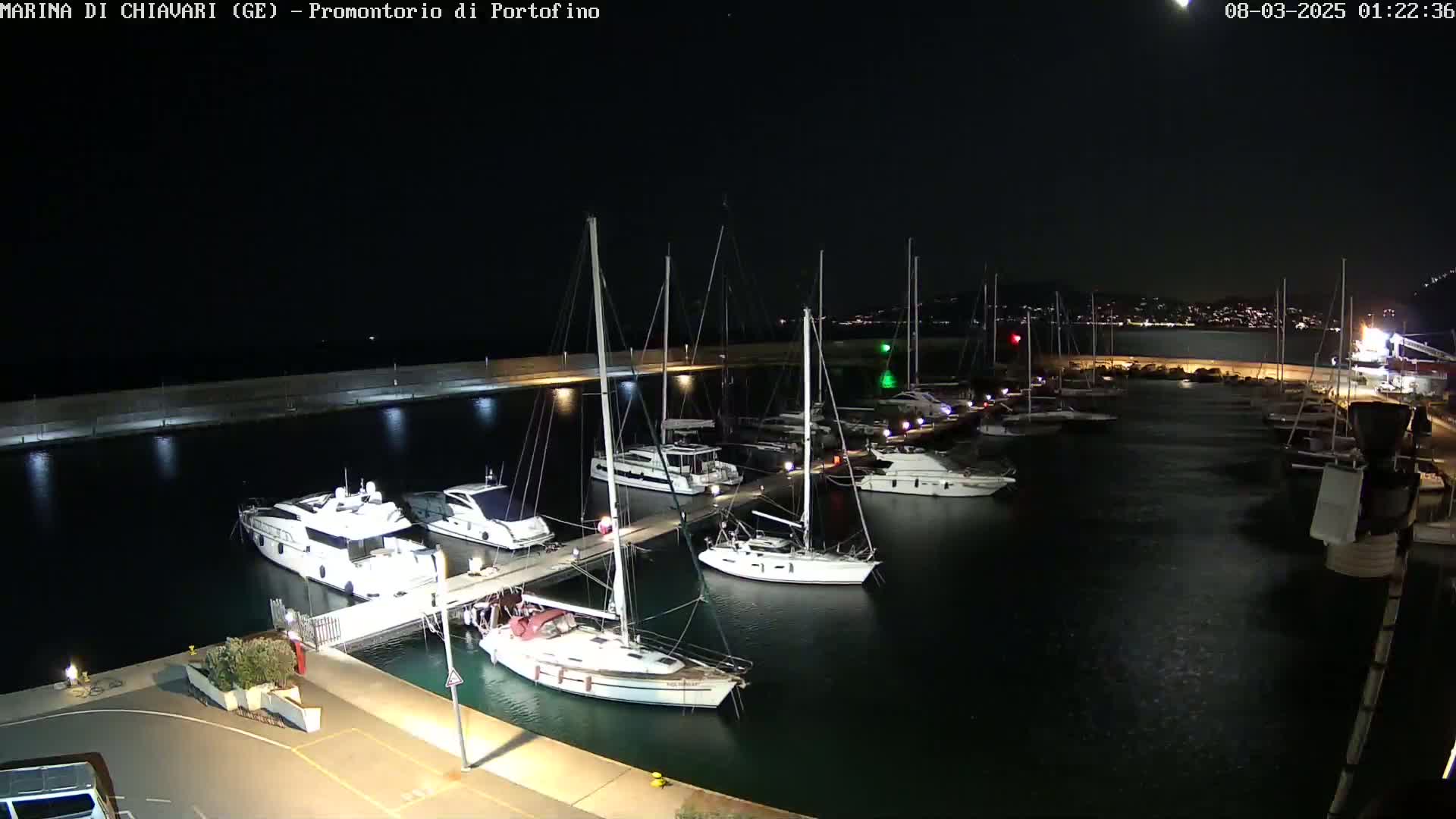 A marina at night, filled with yachts and sailboats docked along a pier under a clear, dark sky.