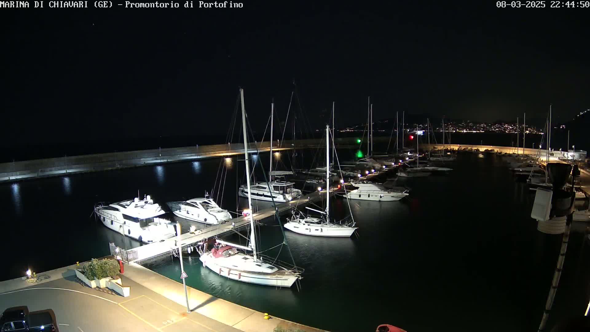 A marina at night, filled with numerous sailboats and yachts docked along a pier under a clear, dark sky.