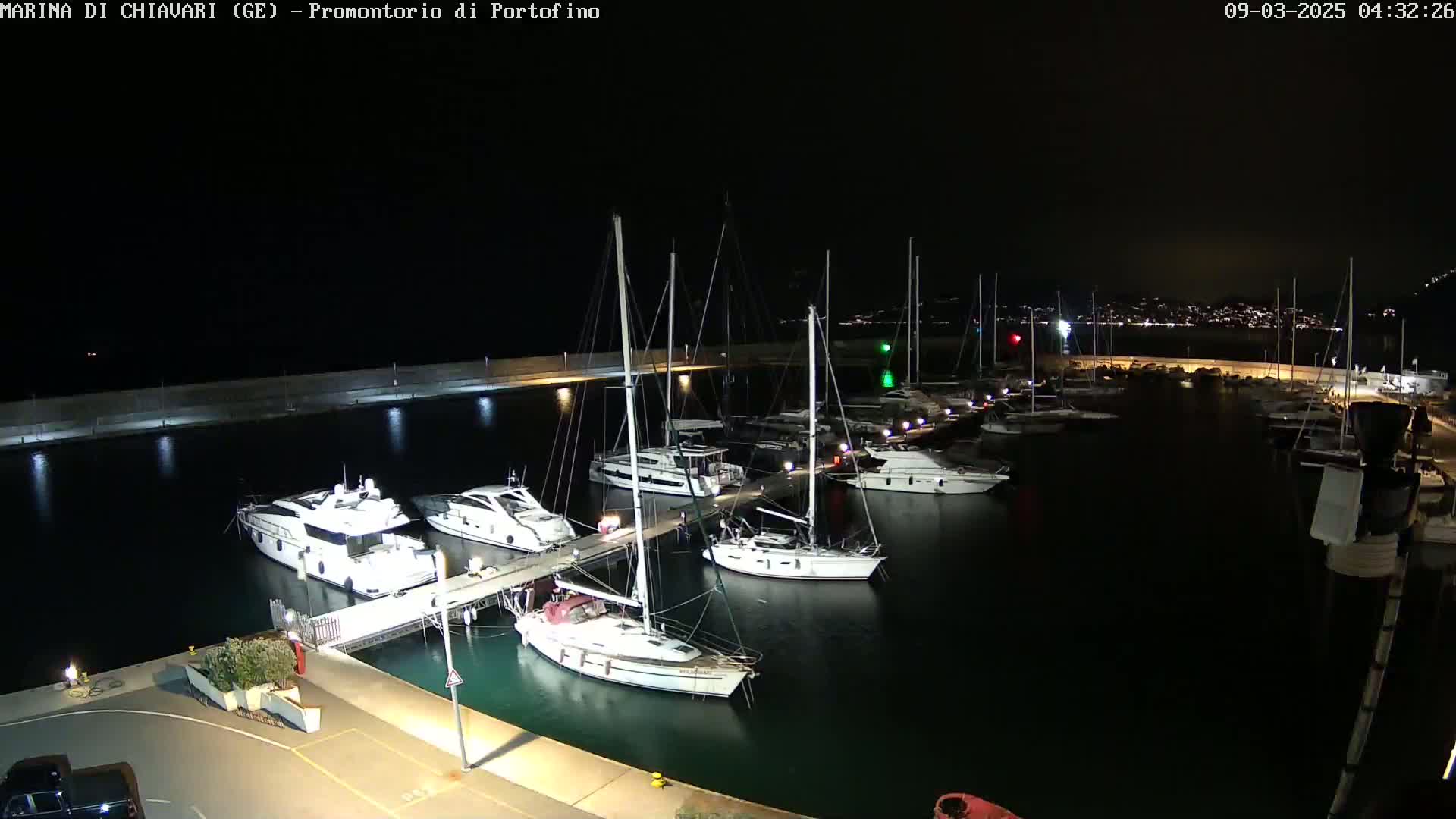 At night, a marina filled with yachts and sailboats is illuminated, with calm dark water surrounding the docked vessels.