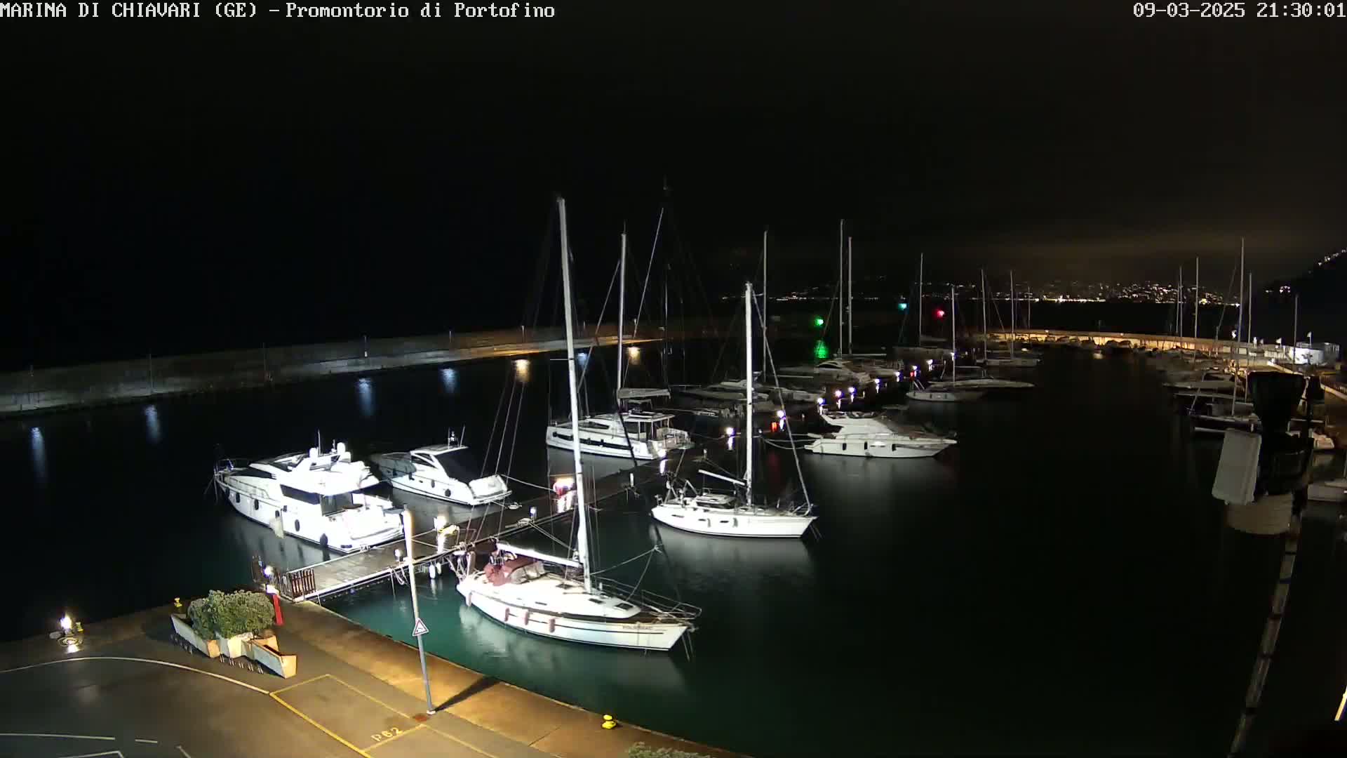 A marina at night, filled with several yachts and sailboats docked along a pier under a dark sky.