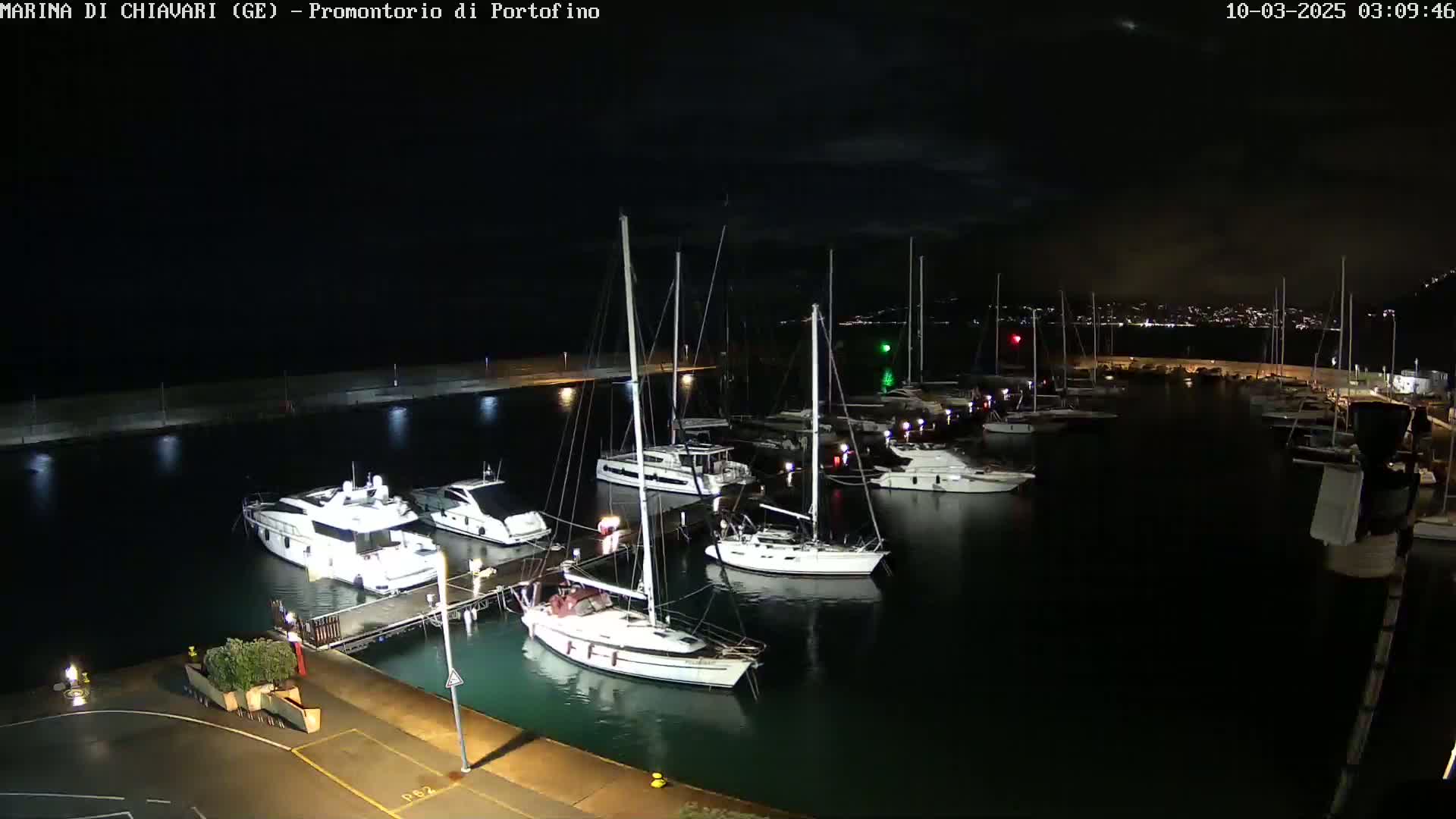 A marina at night, filled with sailboats and motorboats docked along a pier under a dark, cloudy sky.