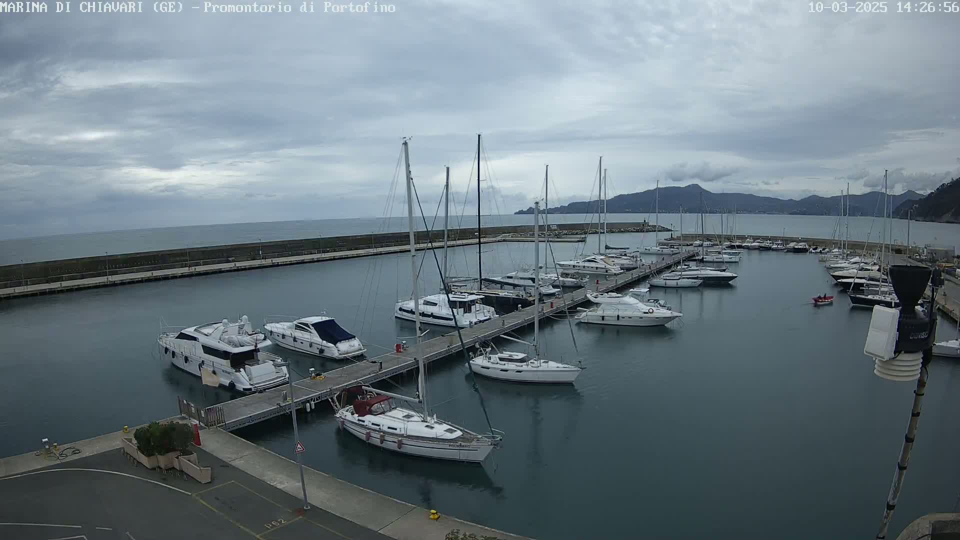 A marina filled with sailboats and motorboats is seen on an overcast day, with calm water and distant mountains visible.