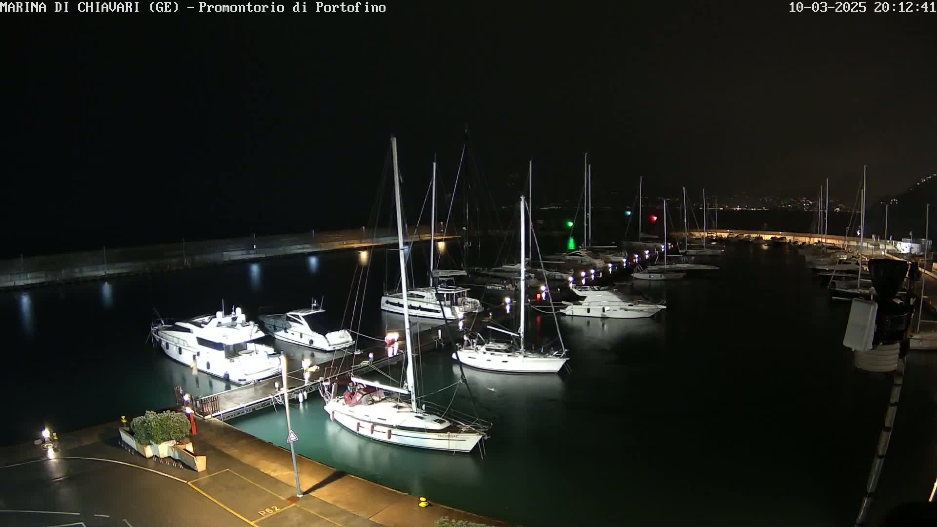 A nighttime view of a marina filled with sailboats and yachts under a dark sky.
