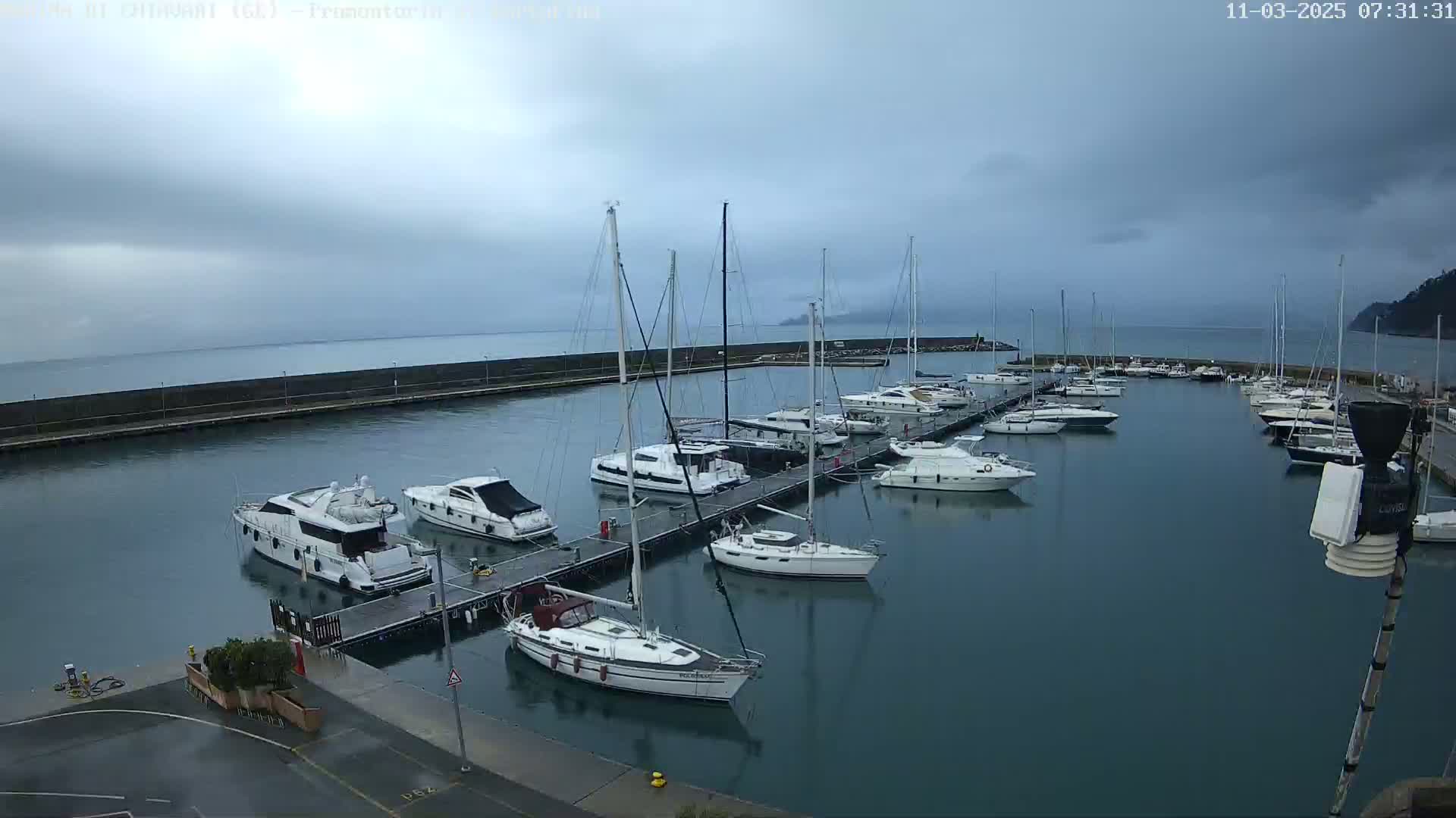 A marina filled with sailboats and motor yachts under an overcast sky.