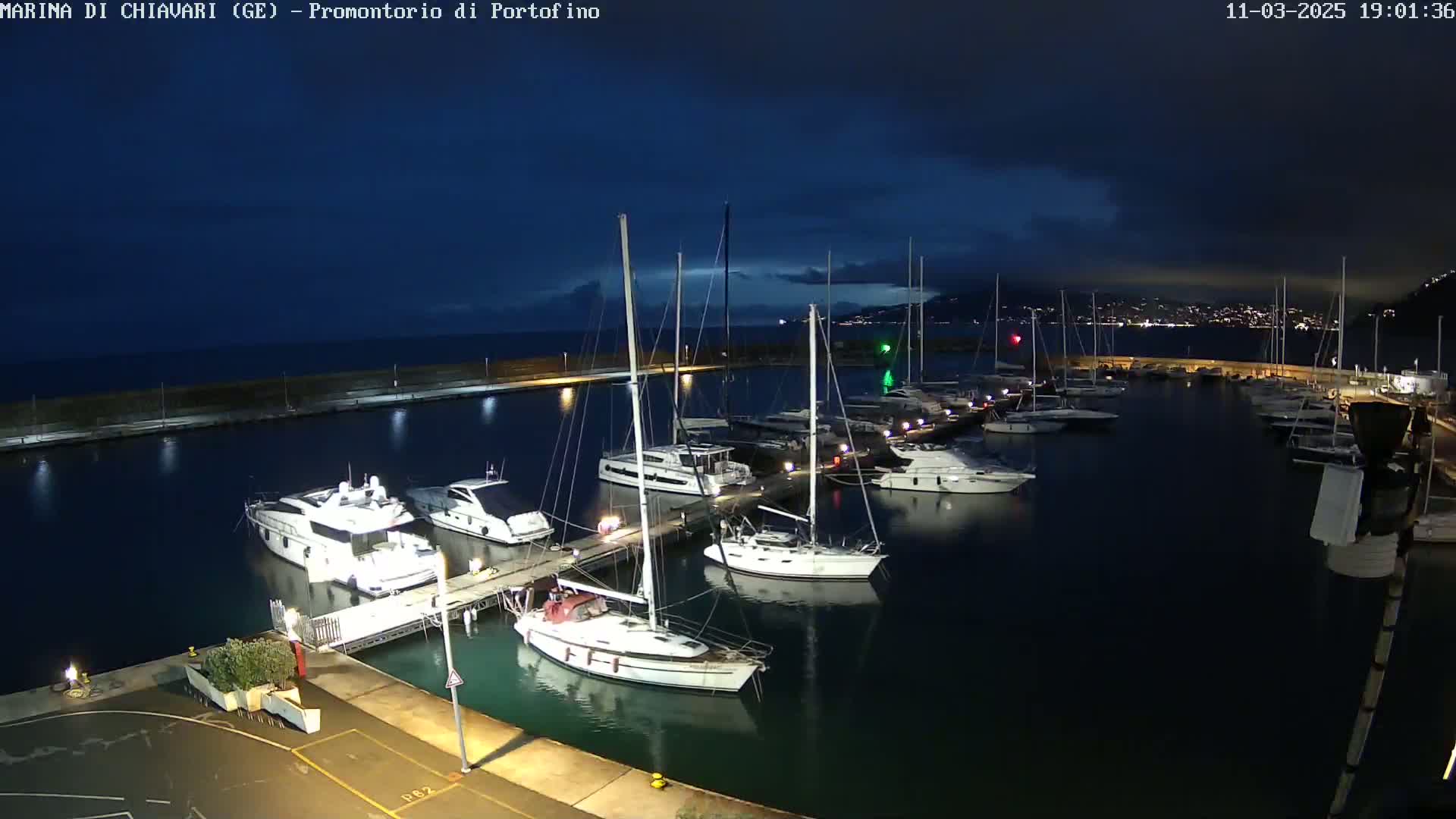 A marina at night under a dark, cloudy sky, filled with numerous boats docked along piers.