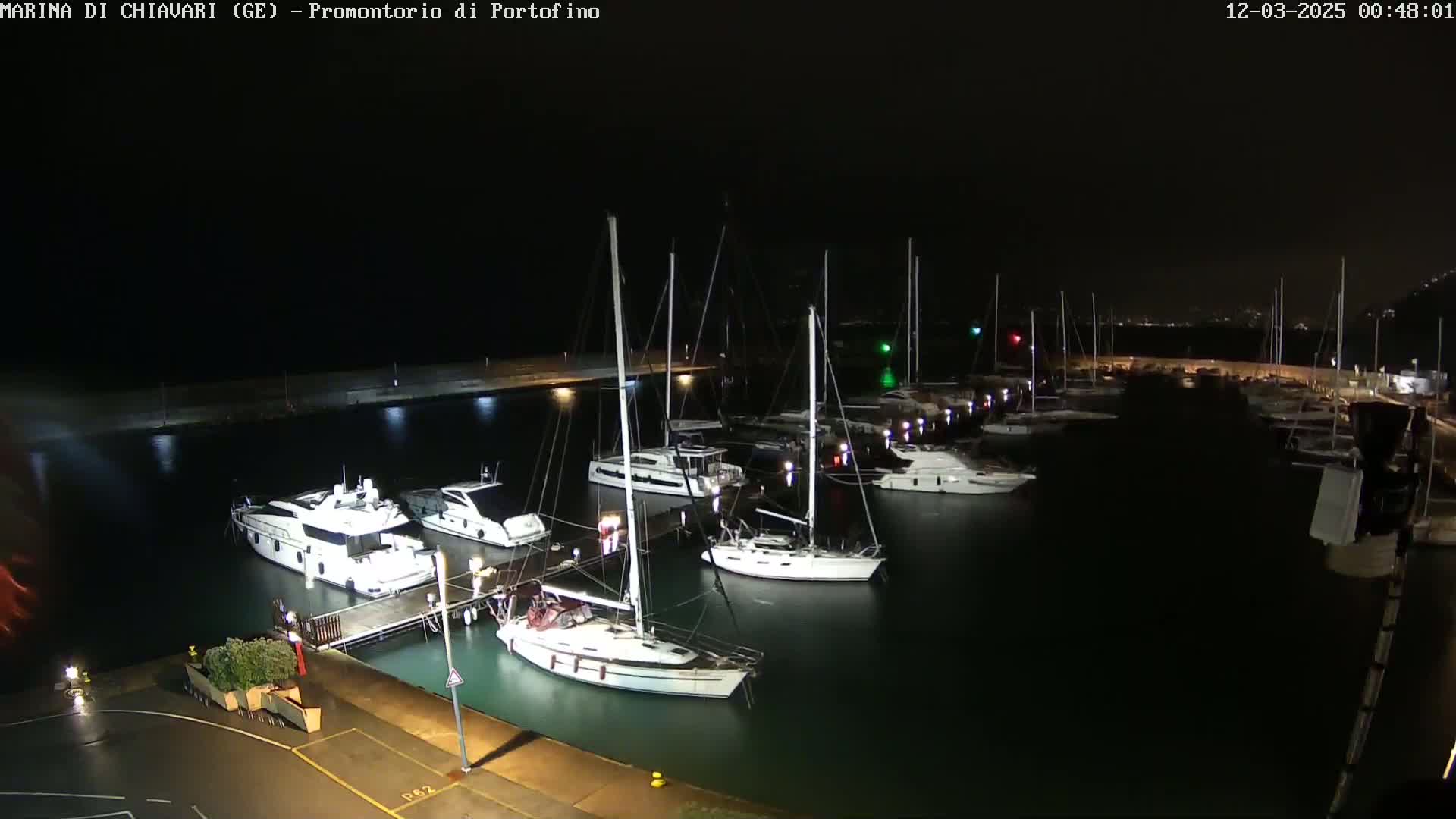 A marina at night, showing several yachts and sailboats docked, under dark, possibly rainy conditions.