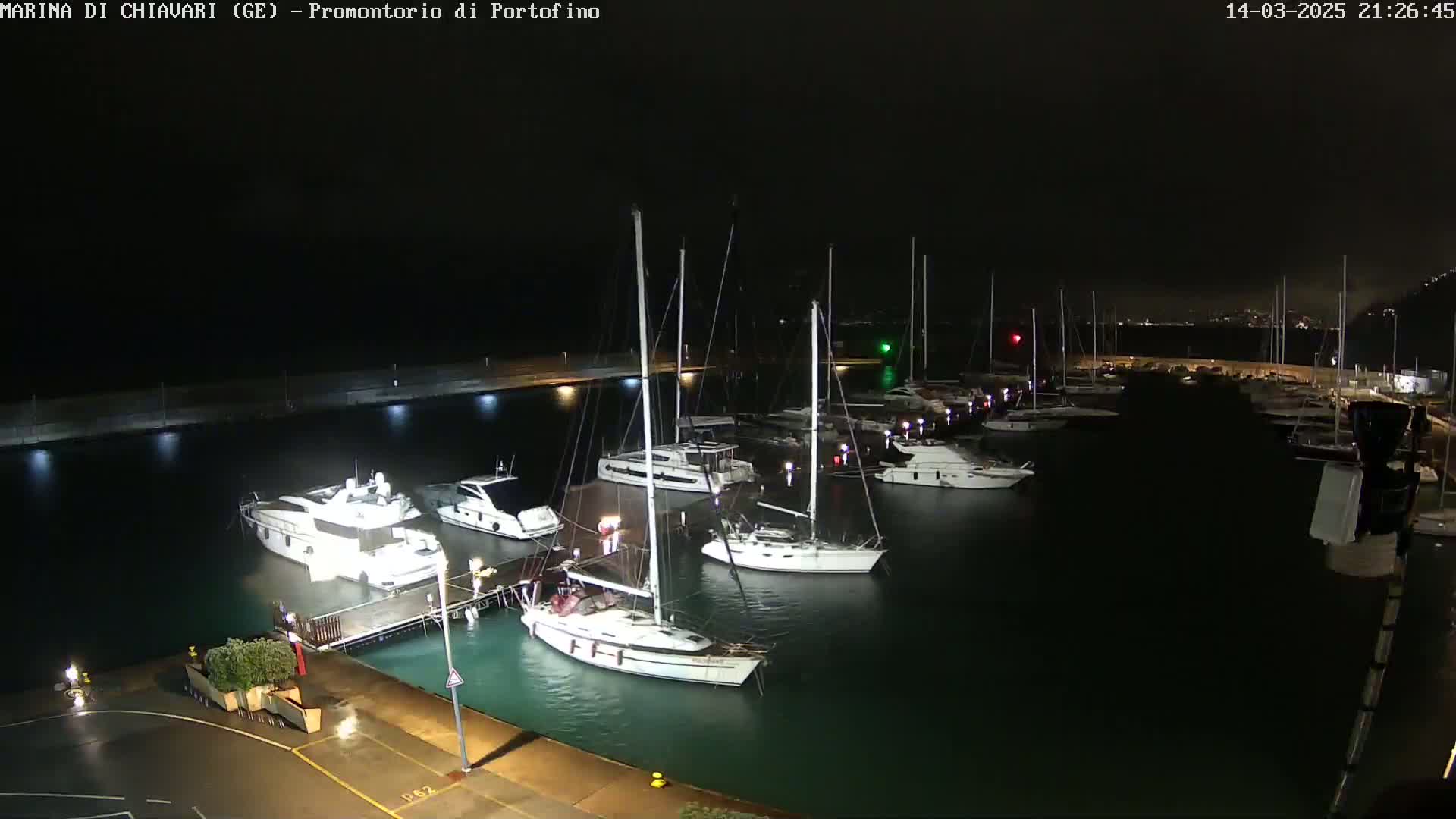 Several yachts and sailboats are moored in a marina at night under a dark sky.